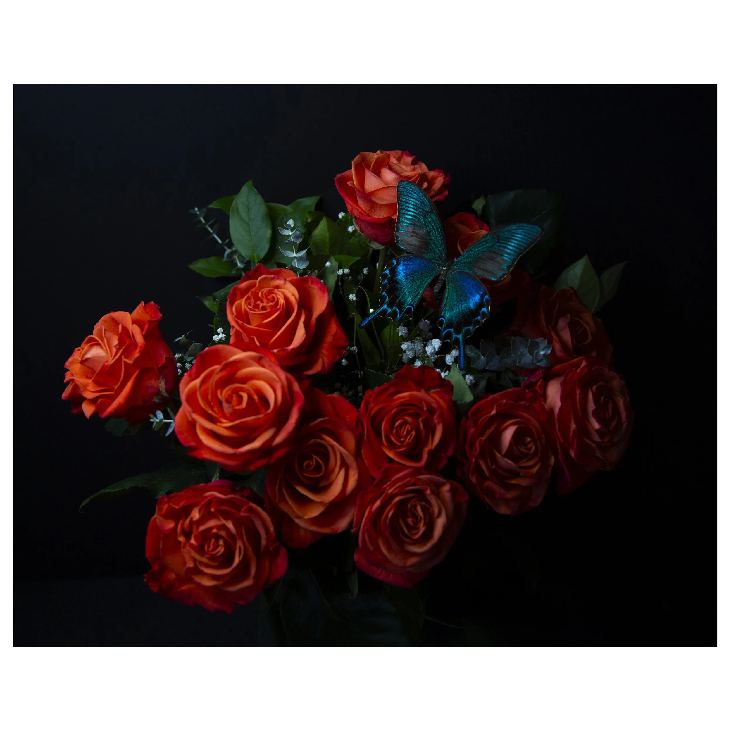 Bouquet of Orange Roses with Butterfly