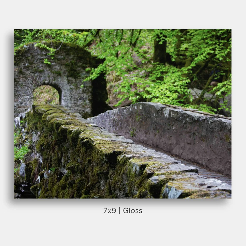 Landscape of a stone bridge covered in moss inside The Hermitage nature preserve in Perthshire, Scotland. Prints for sale.