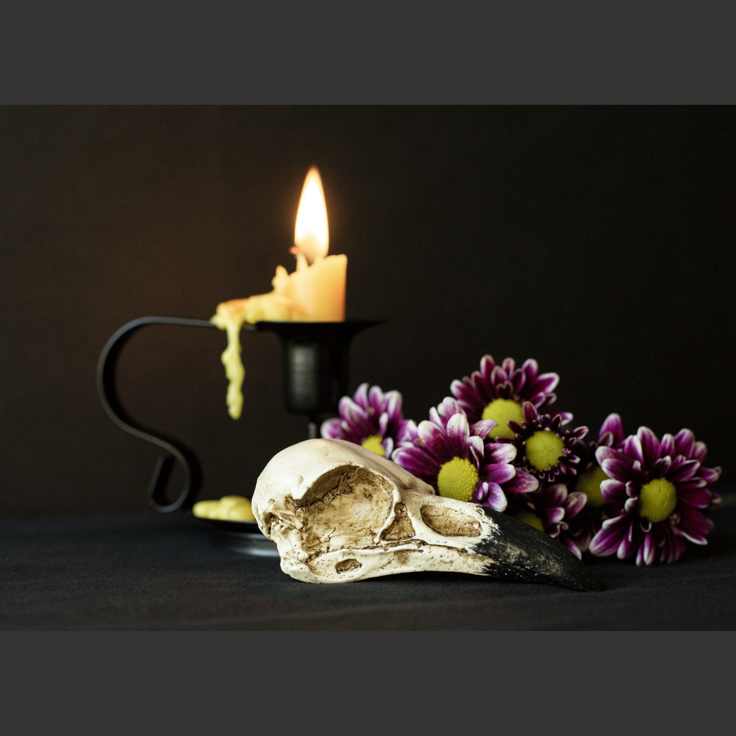 SkullsAndFlowers1-8541.jpg