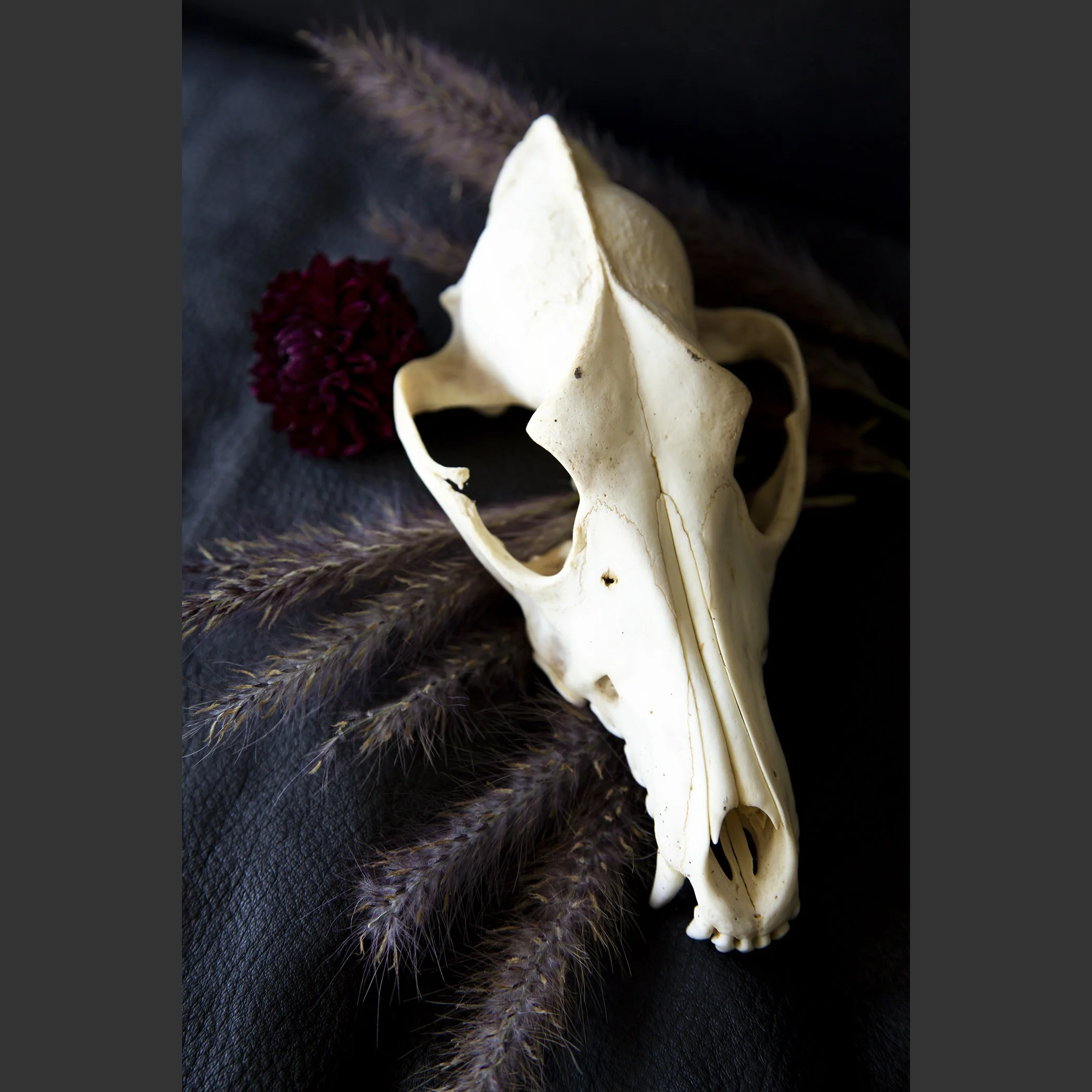SkullsAndFlowers5-0924.jpg