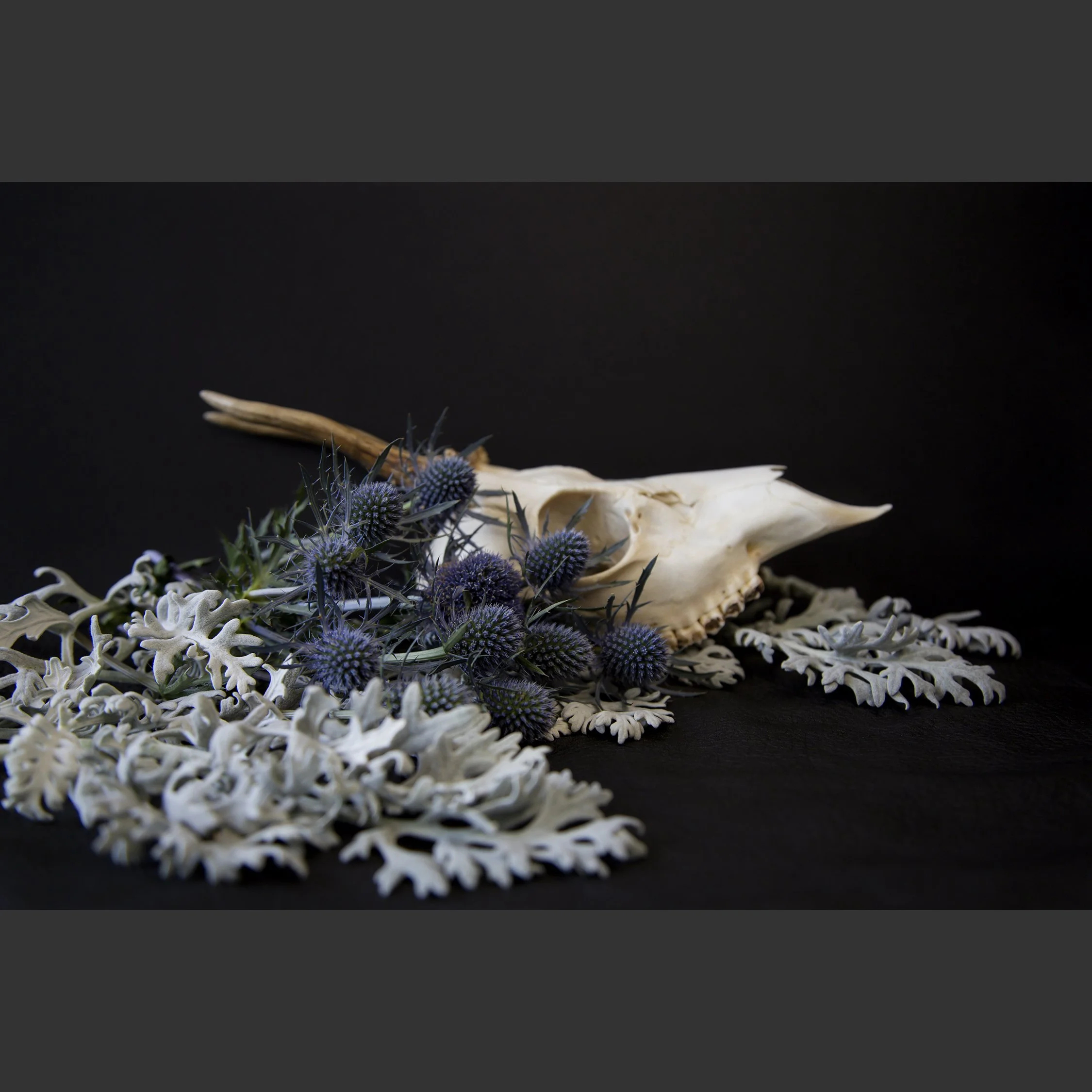 SkullsAndFlowers6-0700.jpg