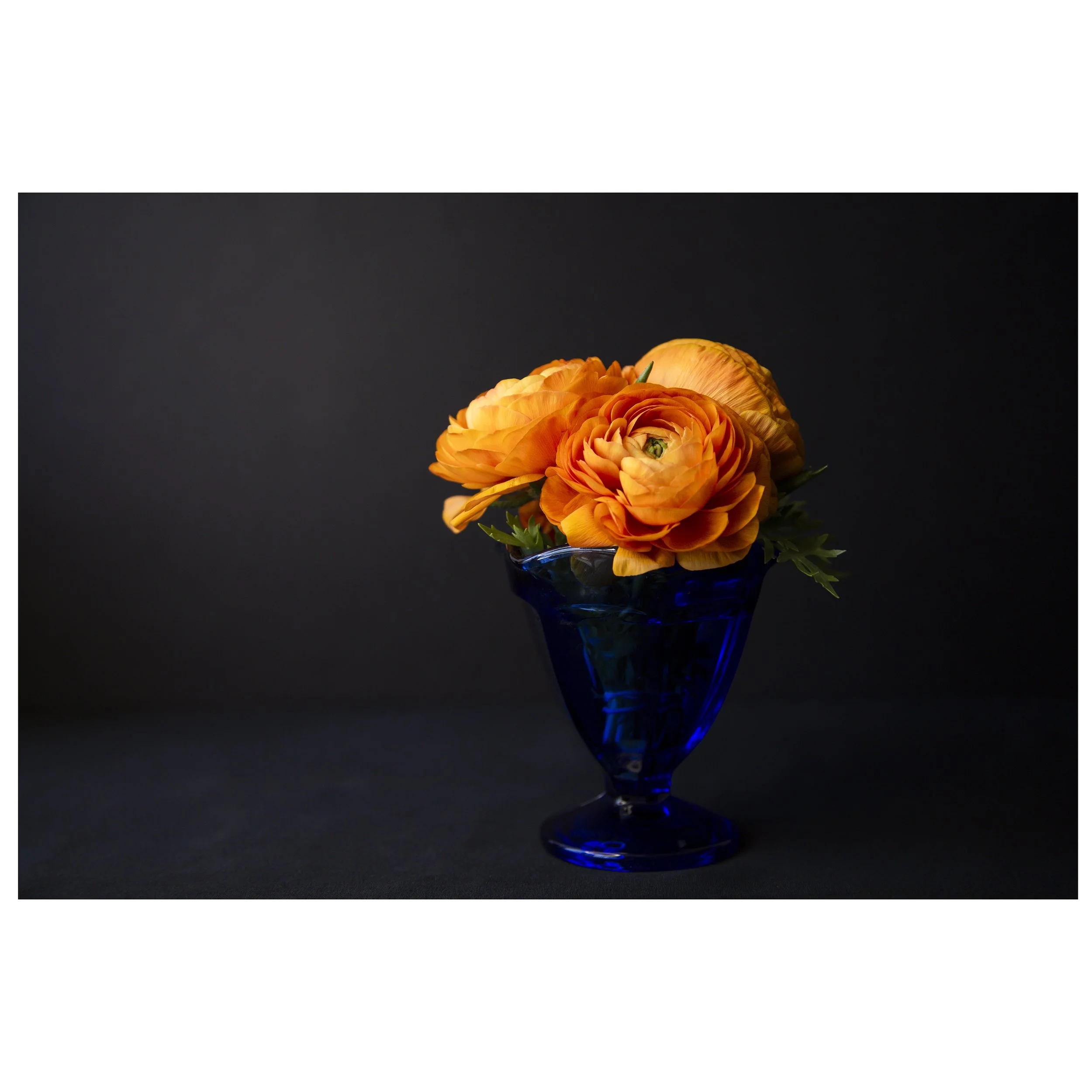 Persian Buttercup Flowers in Blue Glass Vase