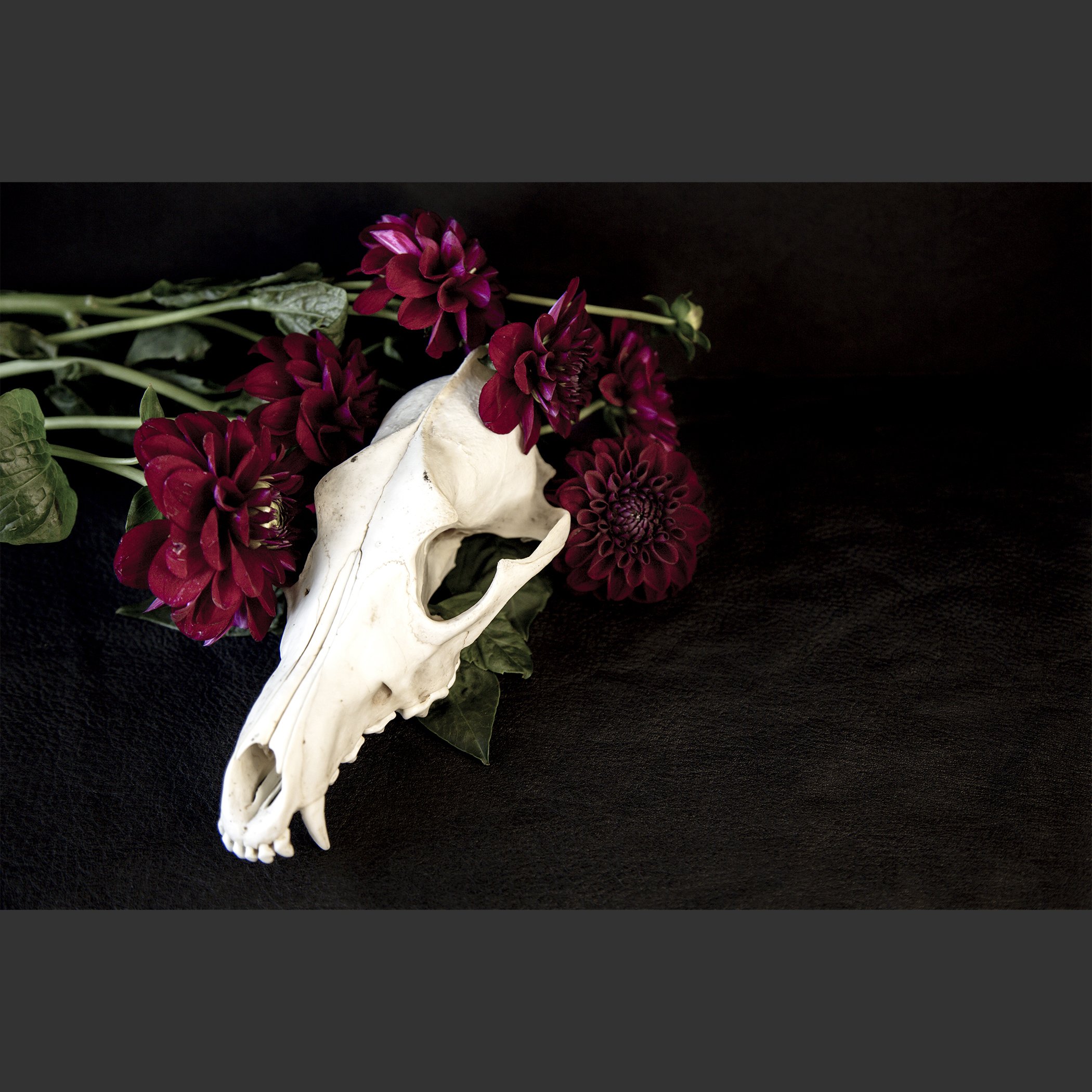 SkullsAndFlowers5-0478.jpg