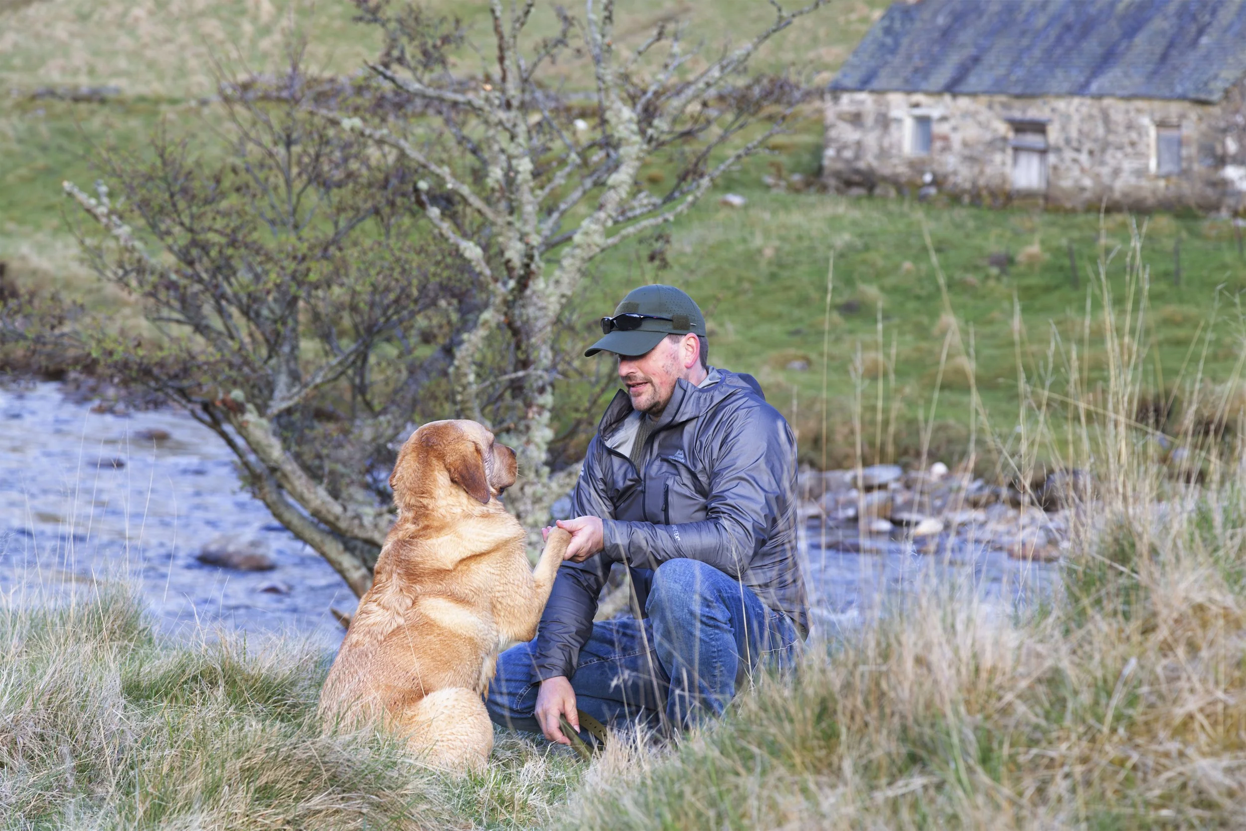 A golden retriever dog and his person shake hands sitting in the tall grass next to a river. There is a stone cottage in the background. 