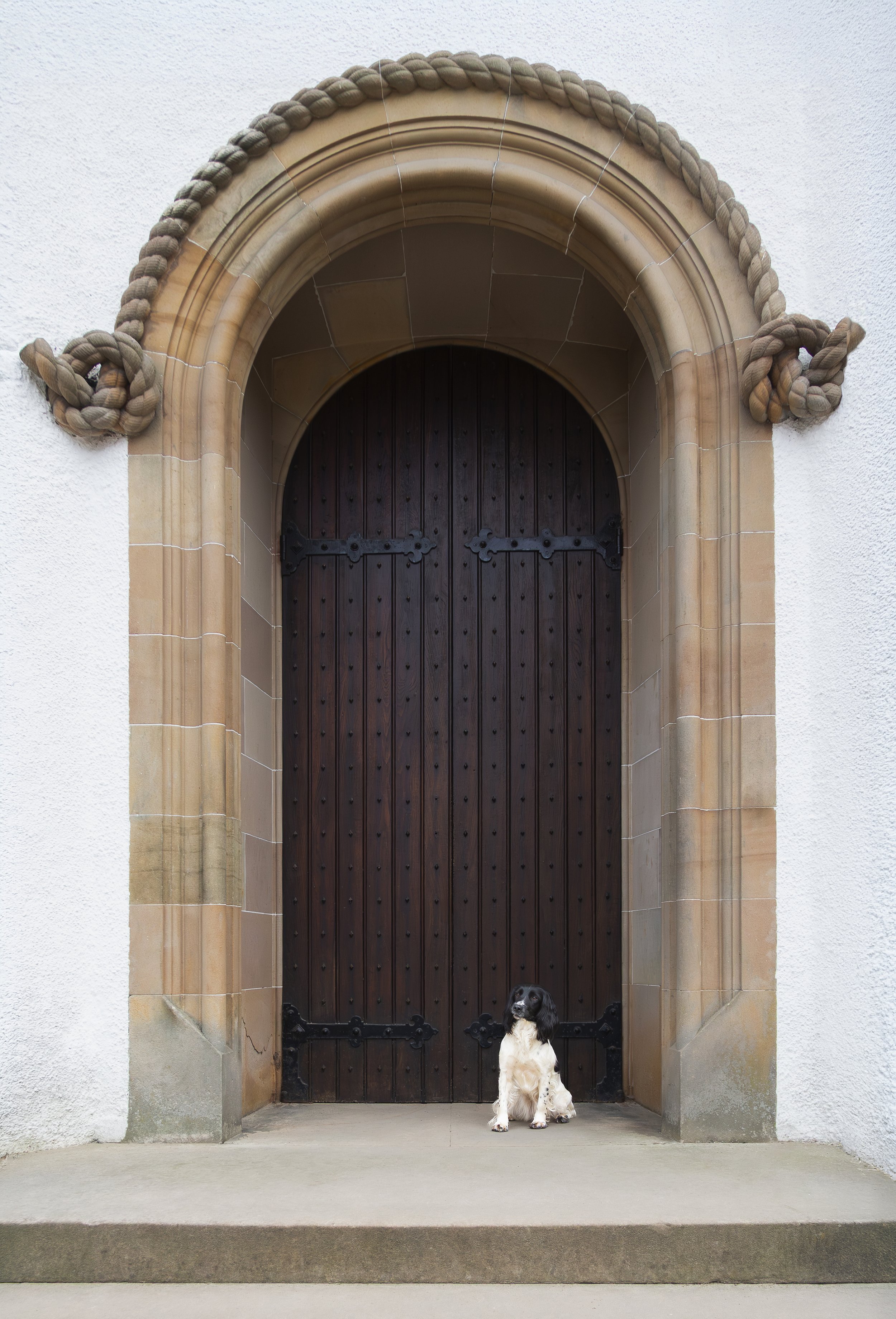 A Black and White Springer Spaniel sits in the corner of a large rounded wooden doorway with a stone archway set into a white wall. 