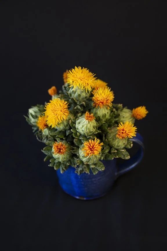 Still life image of a bunch of Safflower blooms in a handmade earthenware blue mug. The flowers have been photographed against a black background. 