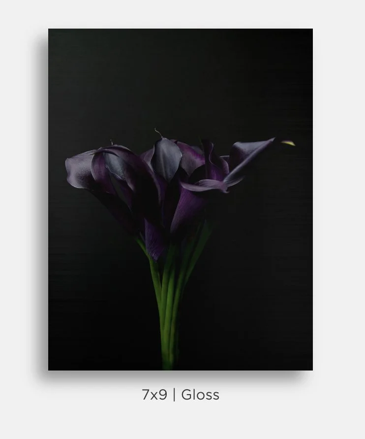 Metallic prints for sale. Image of a bouquet of deep purple calla lilies on black. Great gifts, home decor.