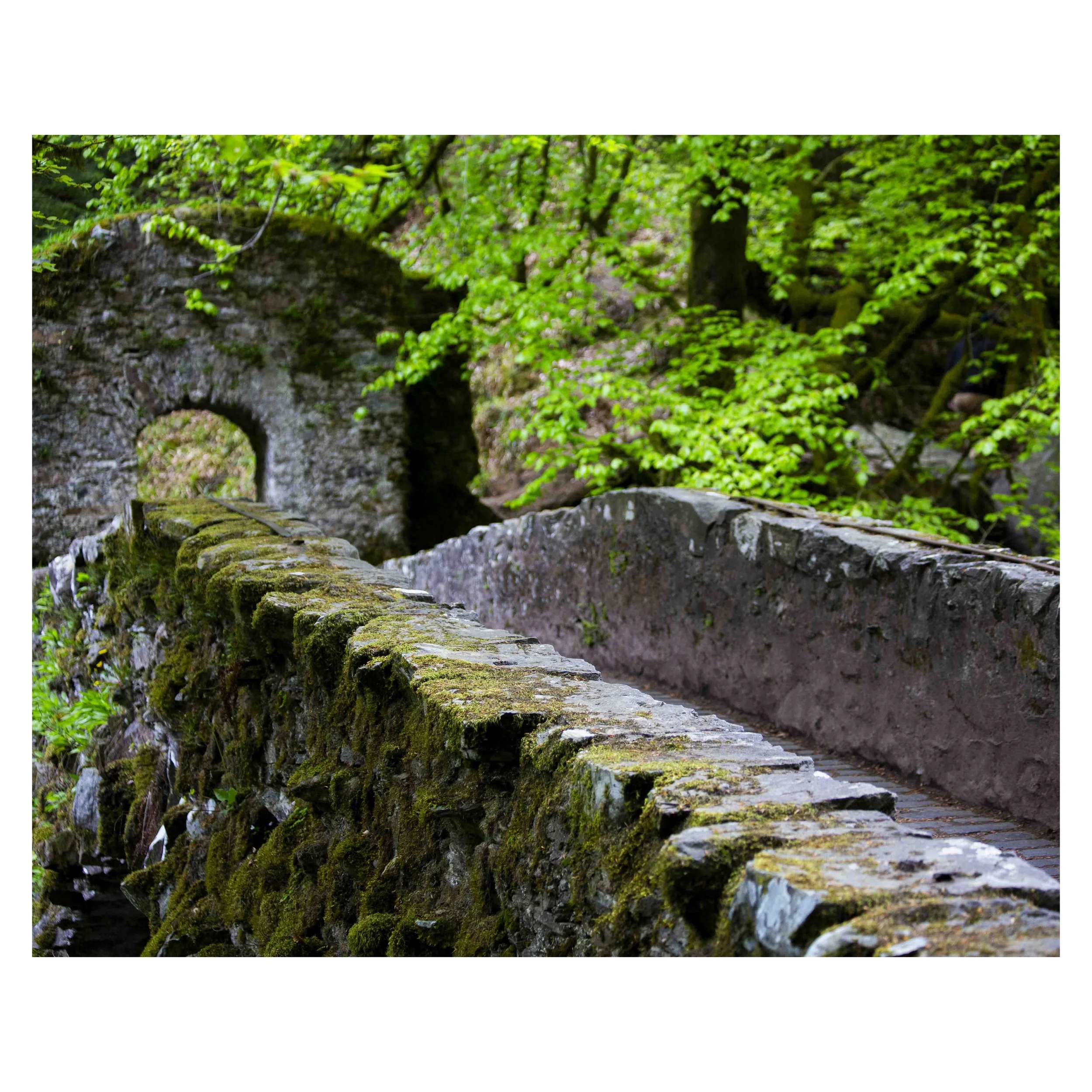 Stone Bridge in the Forest