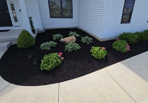 Landscape Maintenance