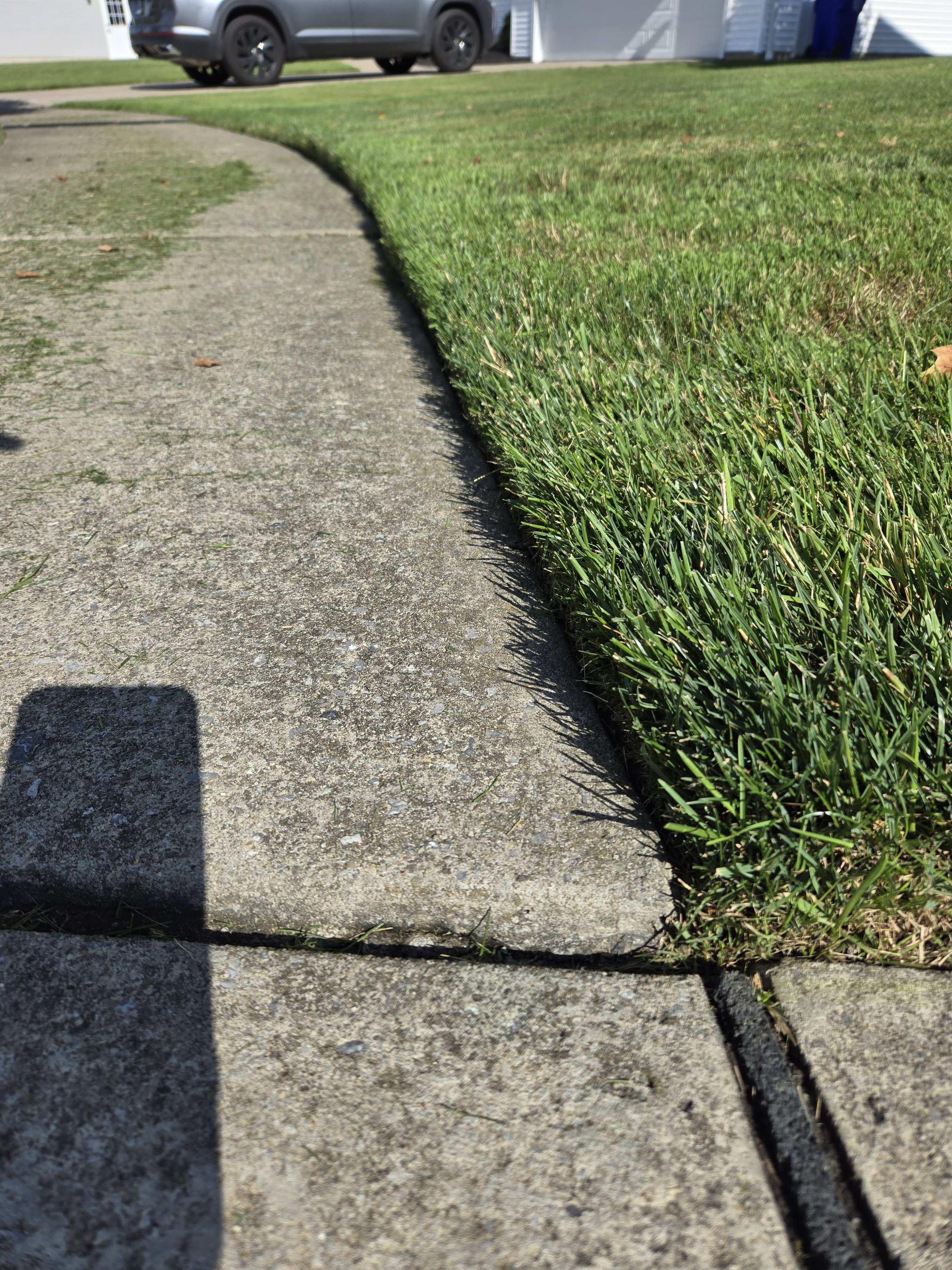Lawn Maintenance