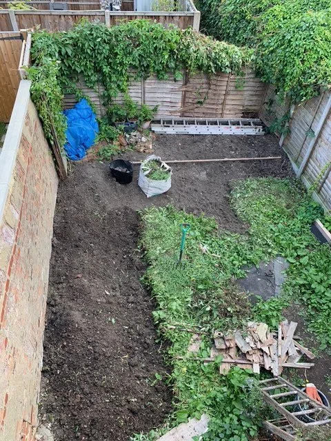 Overgrown garden. Clearout.