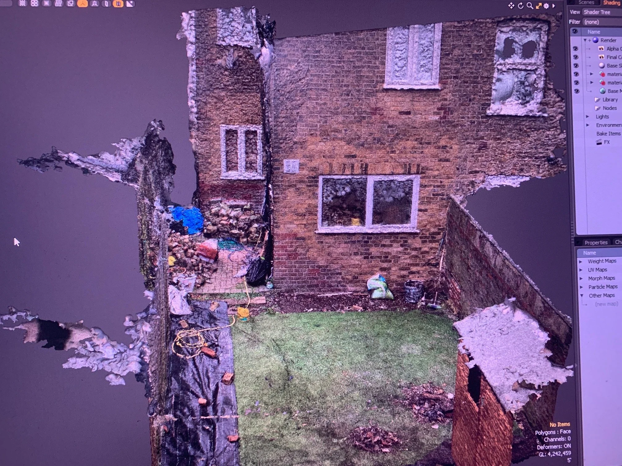 Overgrown garden. Garden Design