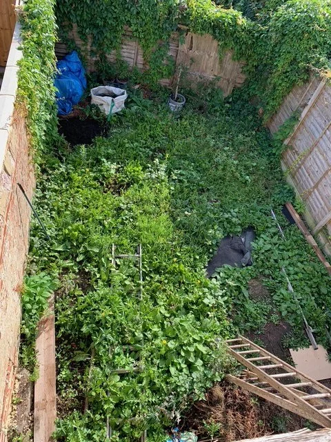 Overgrown garden. Clearout.
