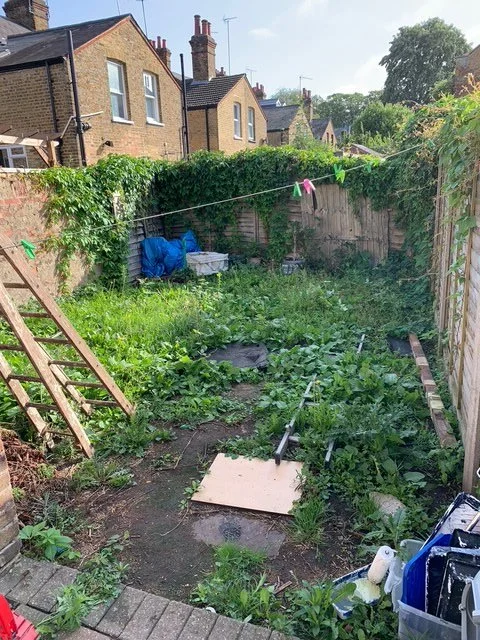 Overgrown garden. Clearout.