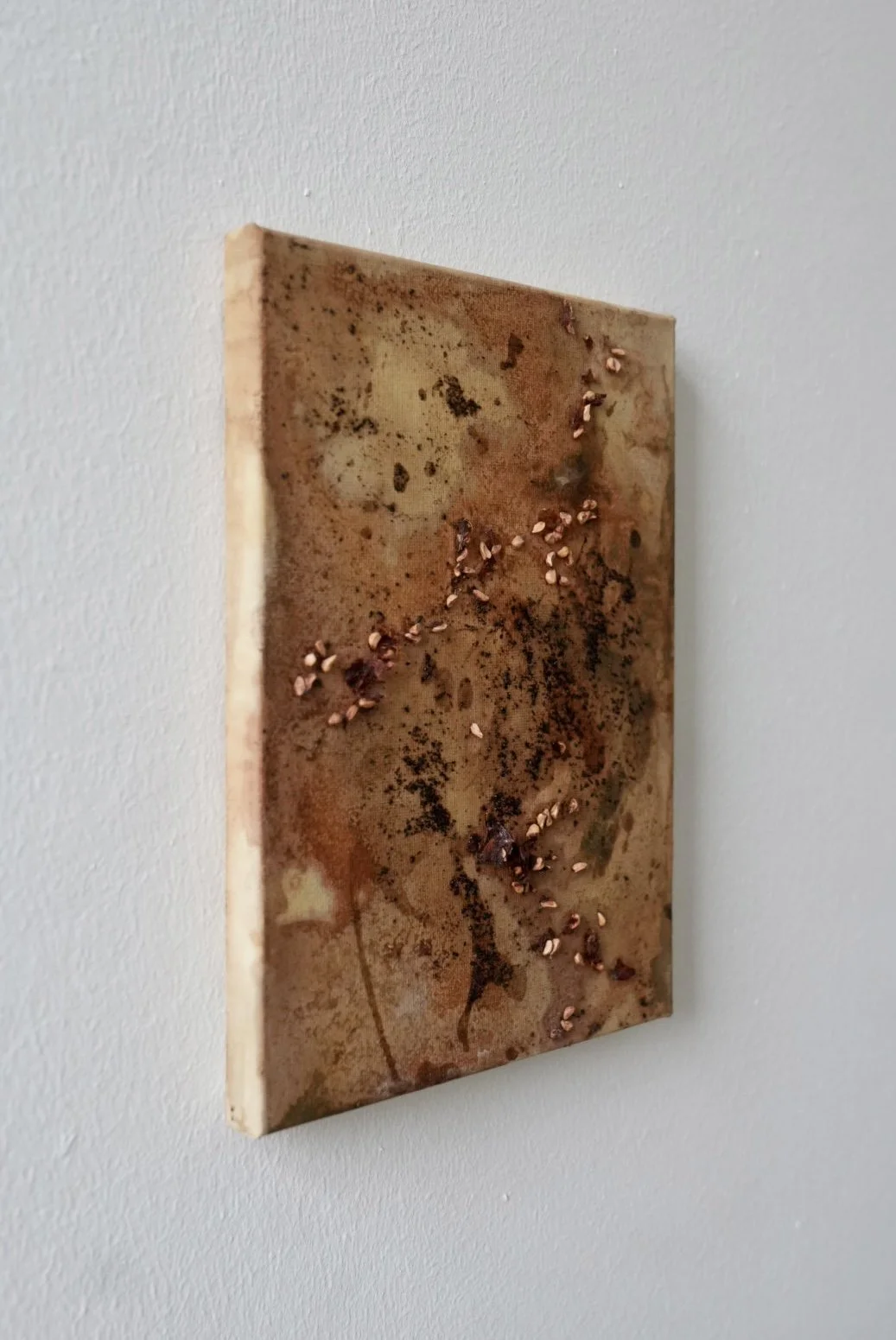 abstract-earth-pigment-painting-03-alchemy-of-nature-earth-texture-lucy-fayra.jpg.jpeg