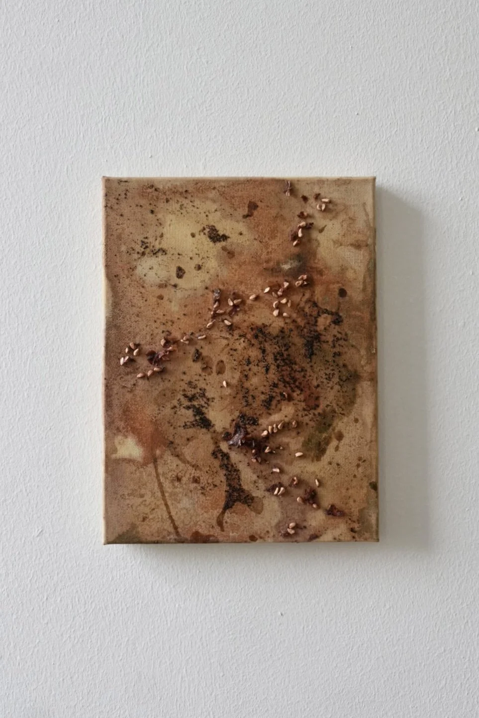 alchemy of nature - earth texture