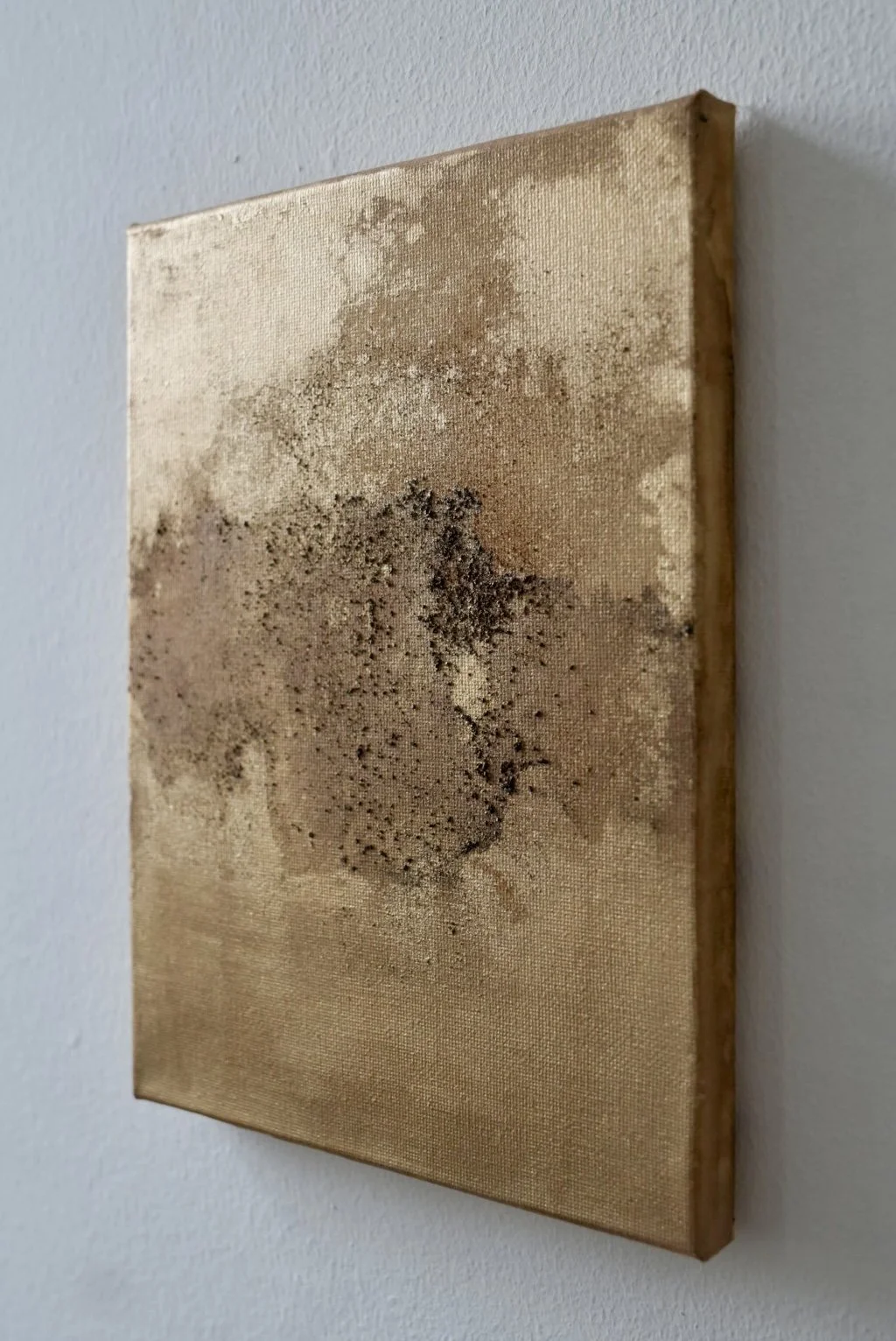 abstract-earth-pigment-painting-01-alchemy-of-nature-gold-edition-lucy-fayra.jpg.jpeg