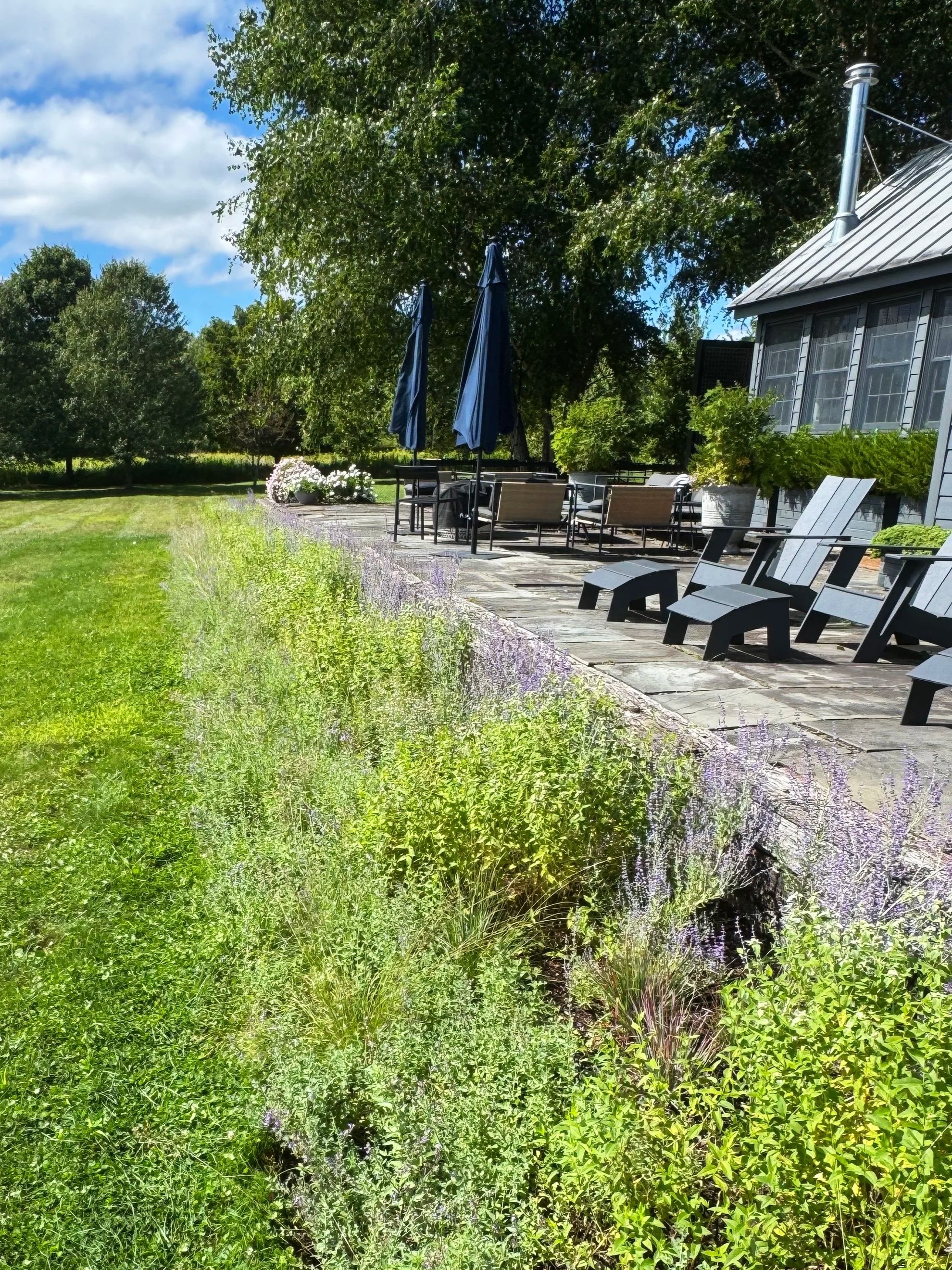 Naturalistic patio garden with structured, low maintenance design, Copake NY