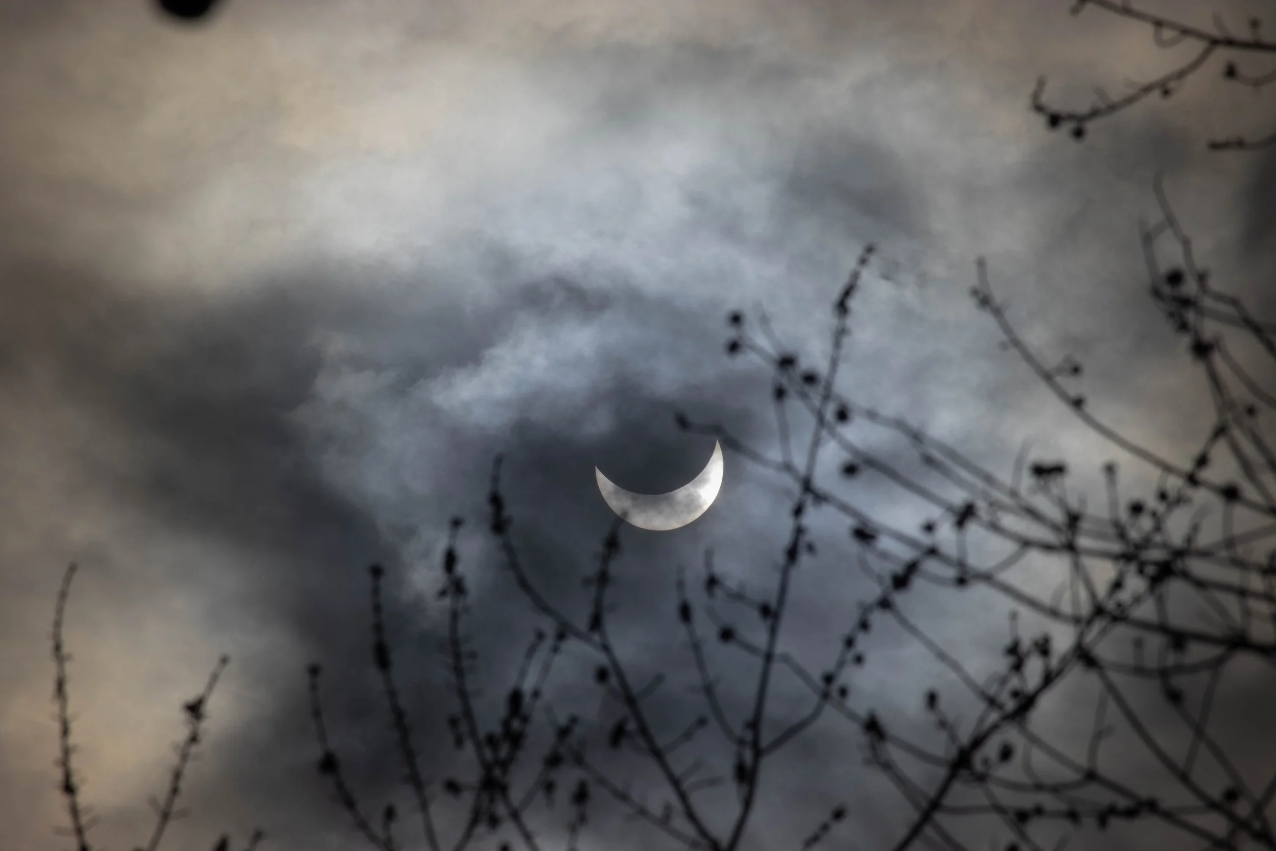 20240408_DRH_Total Eclipse 2024_203.JPEG