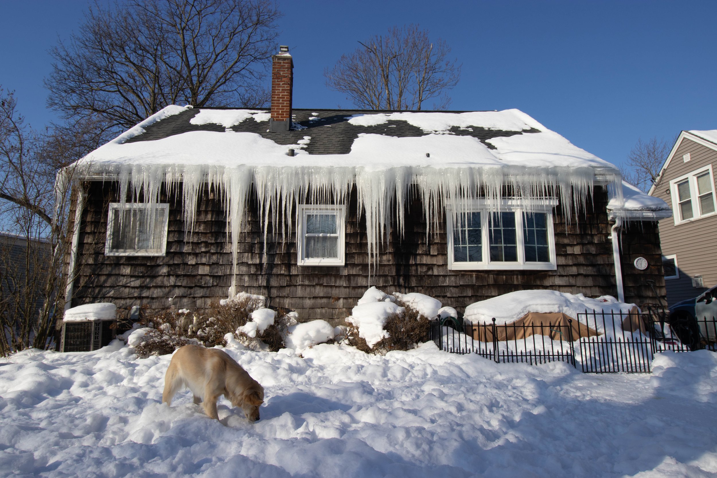 20260202_DRH_Shelby snow_019.JPEG