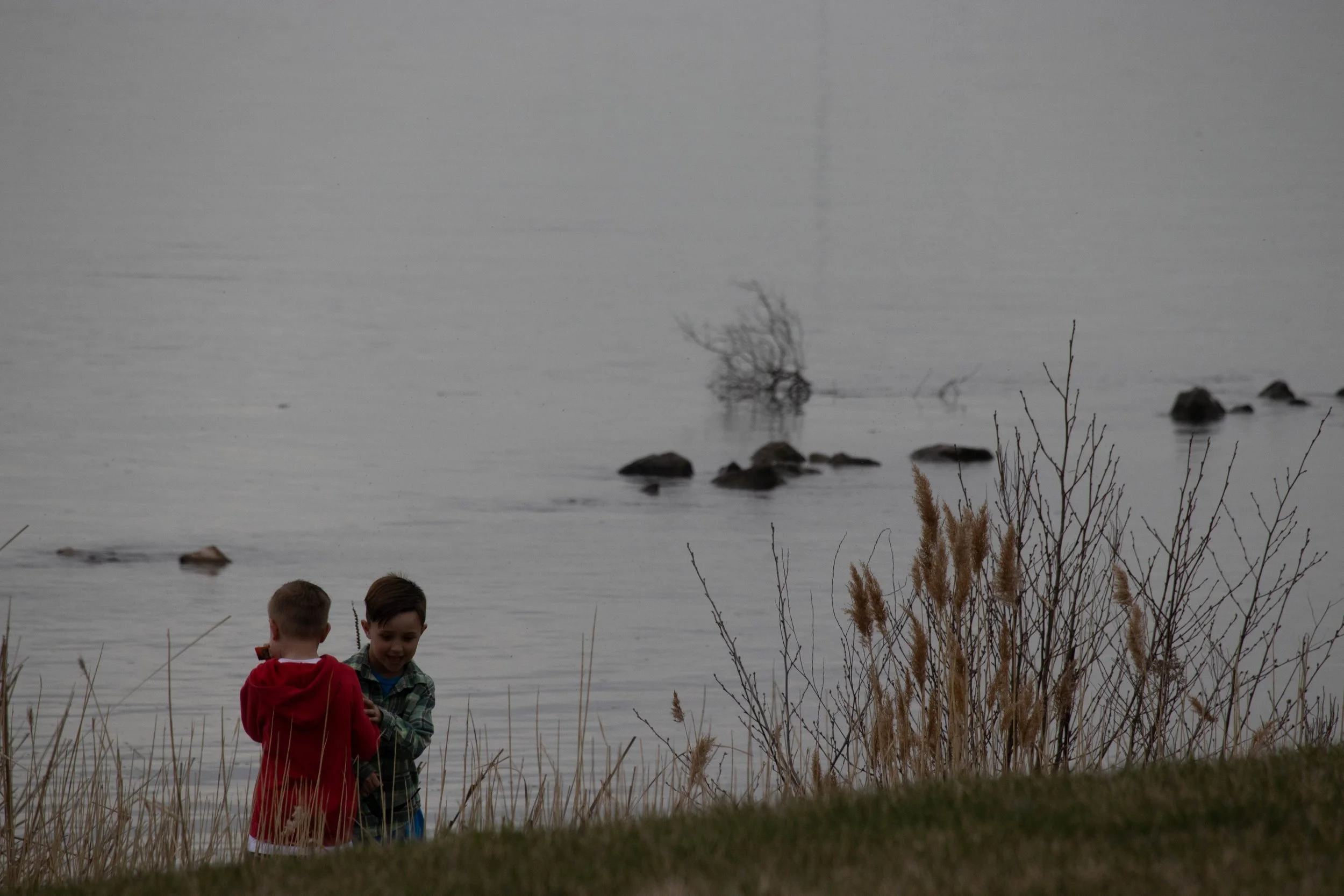 20240408_DRH_Total Eclipse 2024_037.JPEG