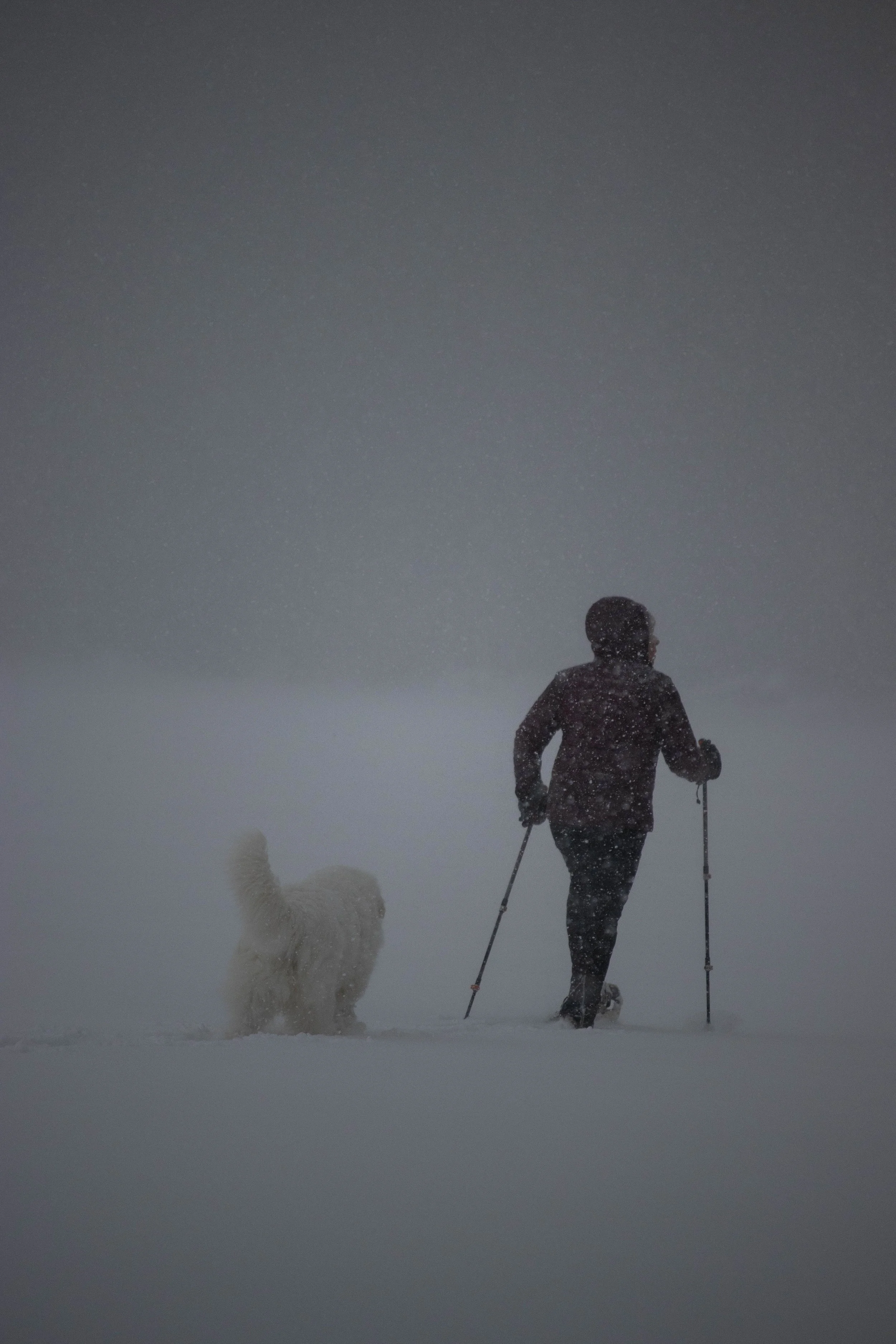 20250216_DRH_Winterfest 25-2_053.JPEG