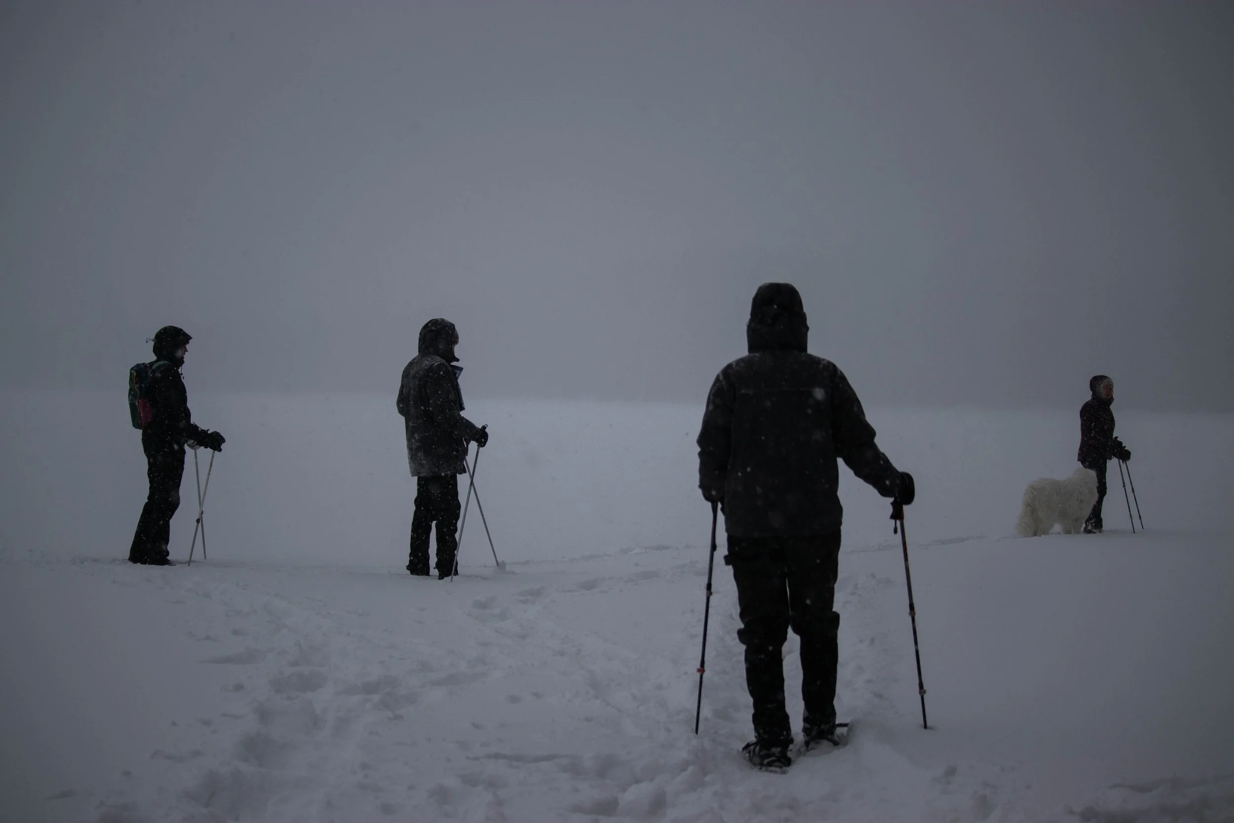 20250216_DRH_Winterfest 25-2_036.JPEG