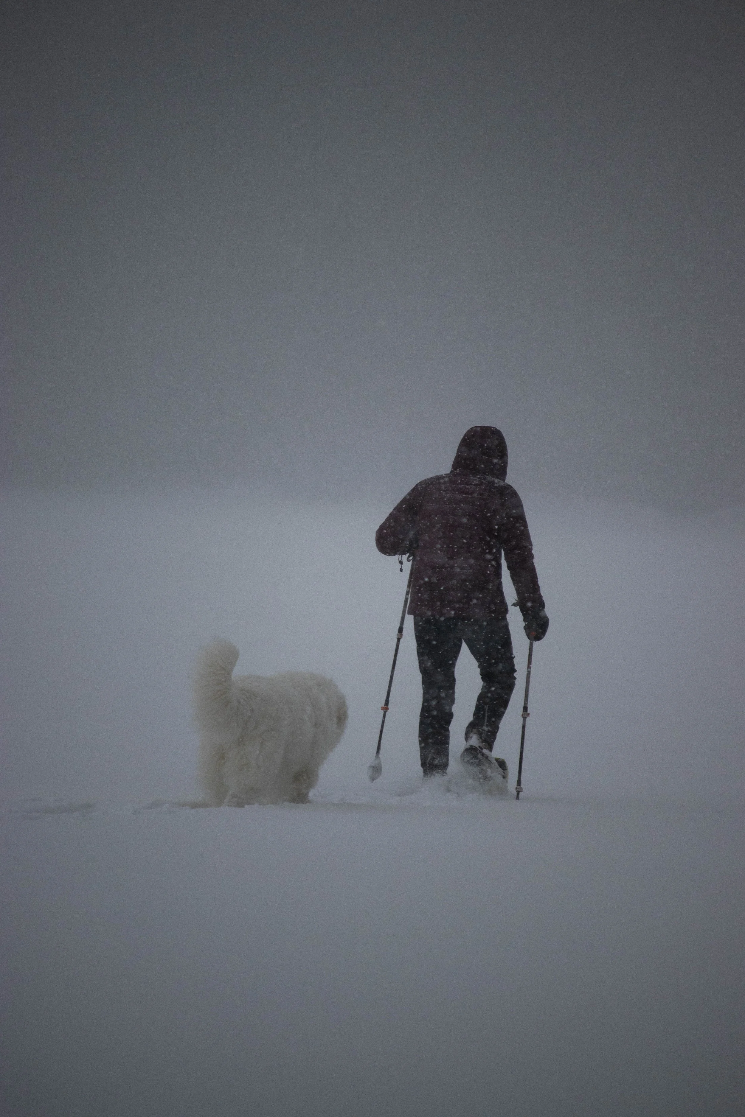 20250216_DRH_Winterfest 25-2_025.JPEG