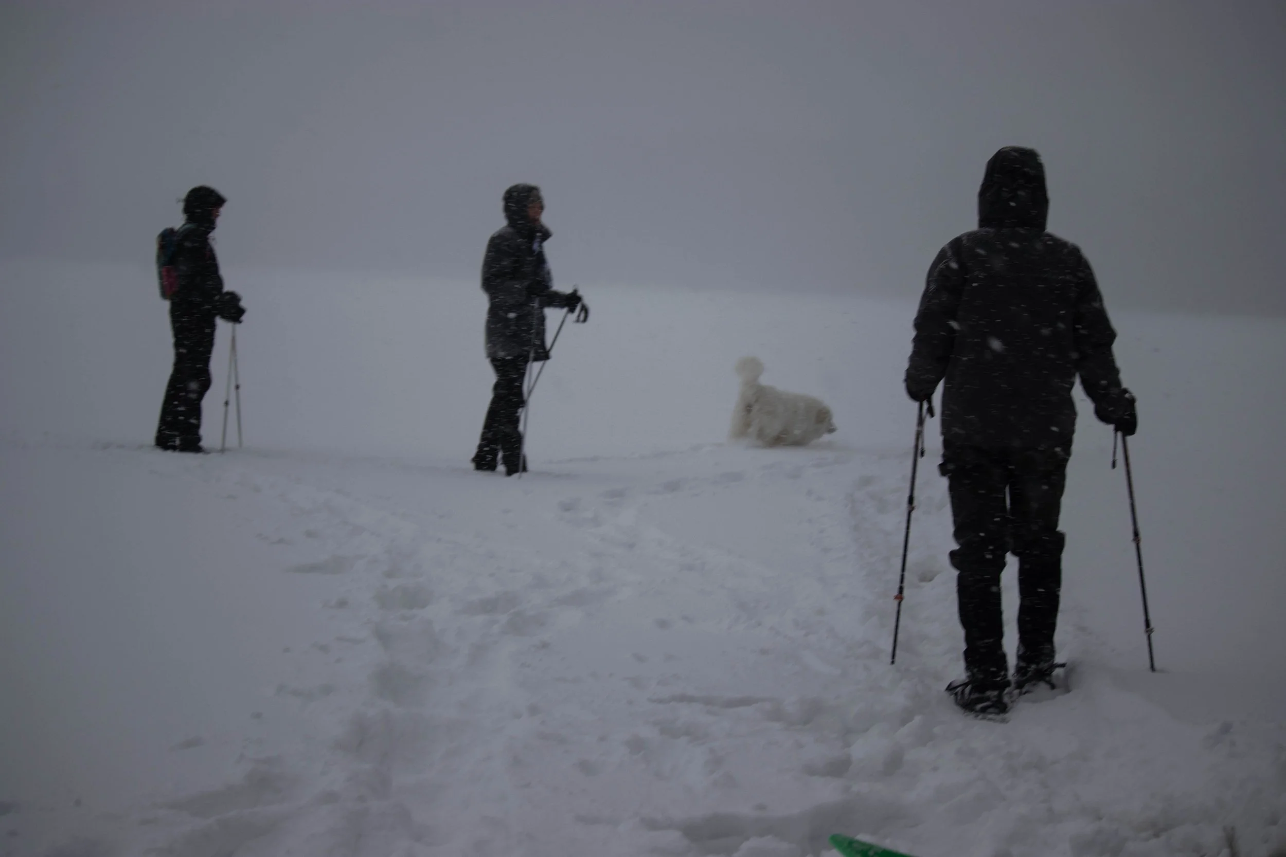 20250216_DRH_Winterfest 25-2_058.JPEG