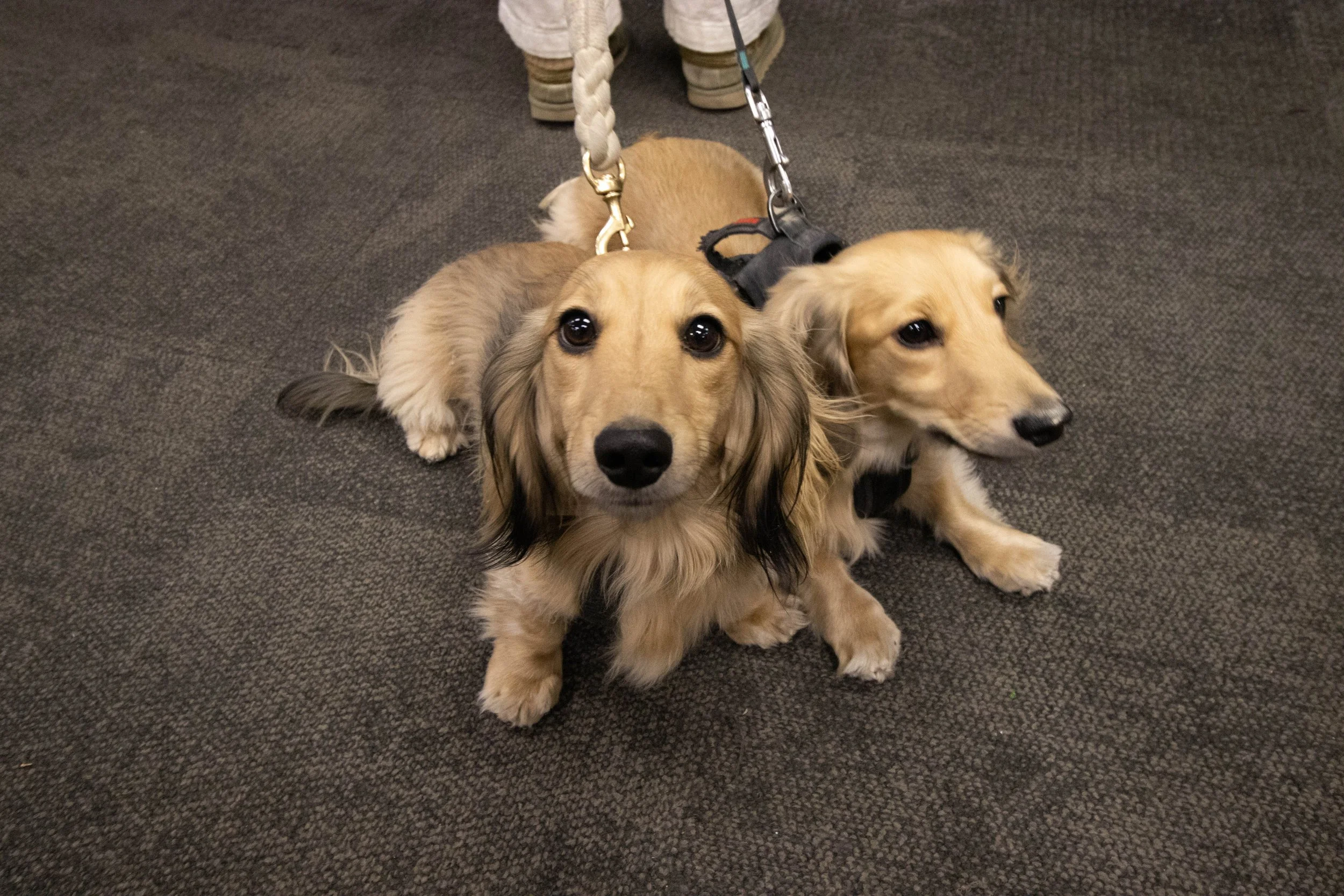 20241116_DRH_NYC trip Fall 24_069.JPEG