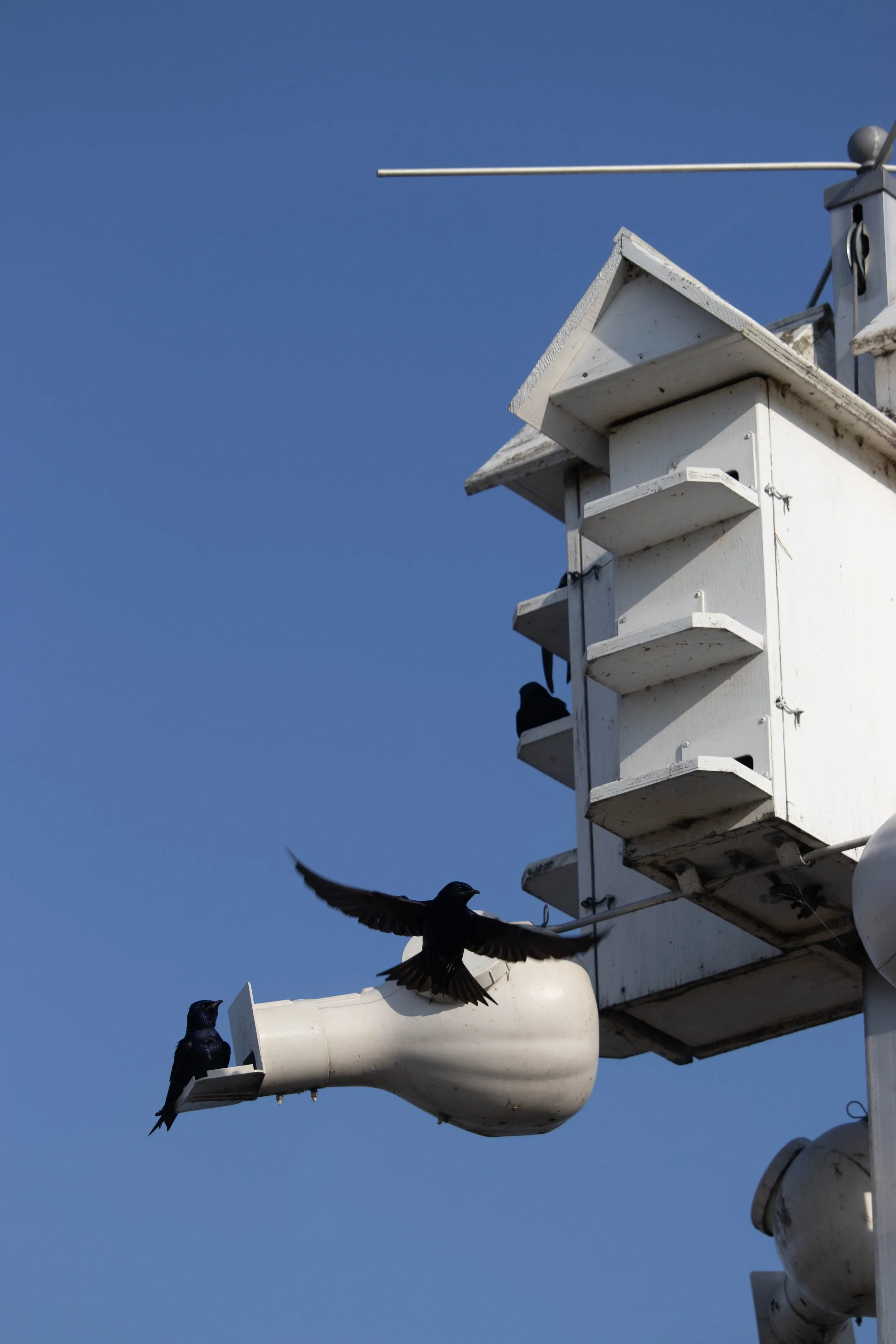 20230508_DRH_Winery trip Rebecca Danny 5-23_122.JPEG