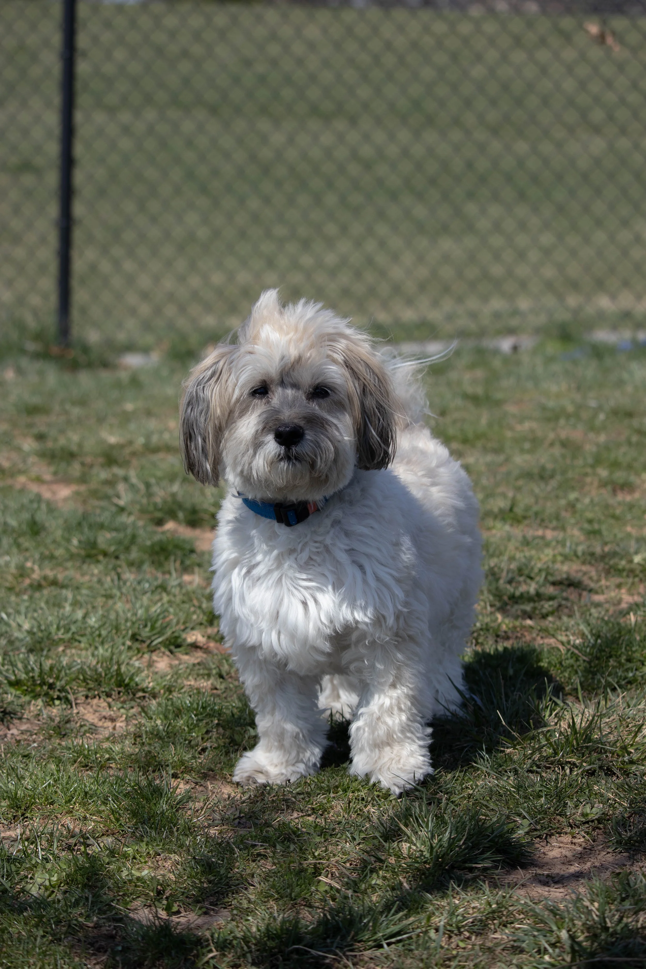 20240322_DRH_COlby walk_106.JPEG