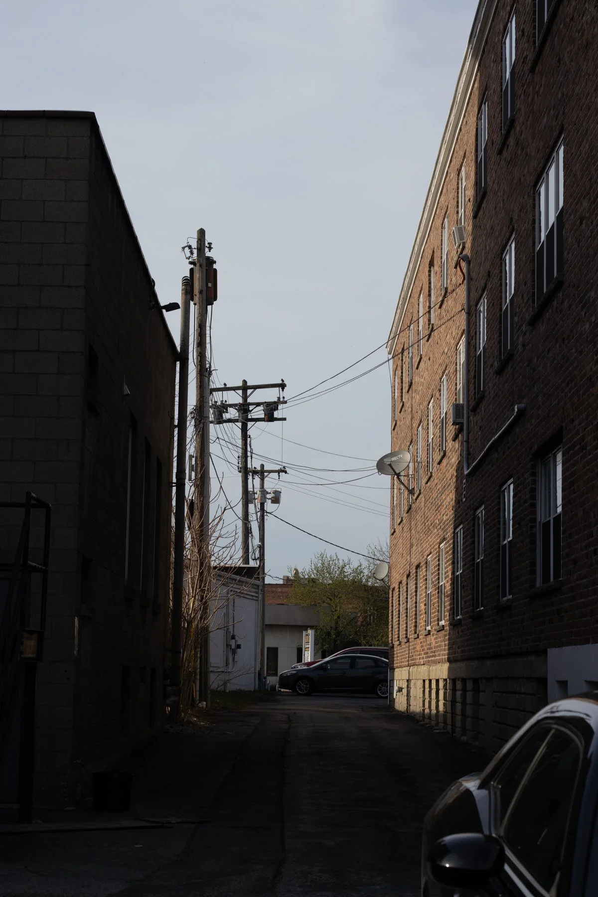 20220424_DRH_who am i set 2_499.JPEG