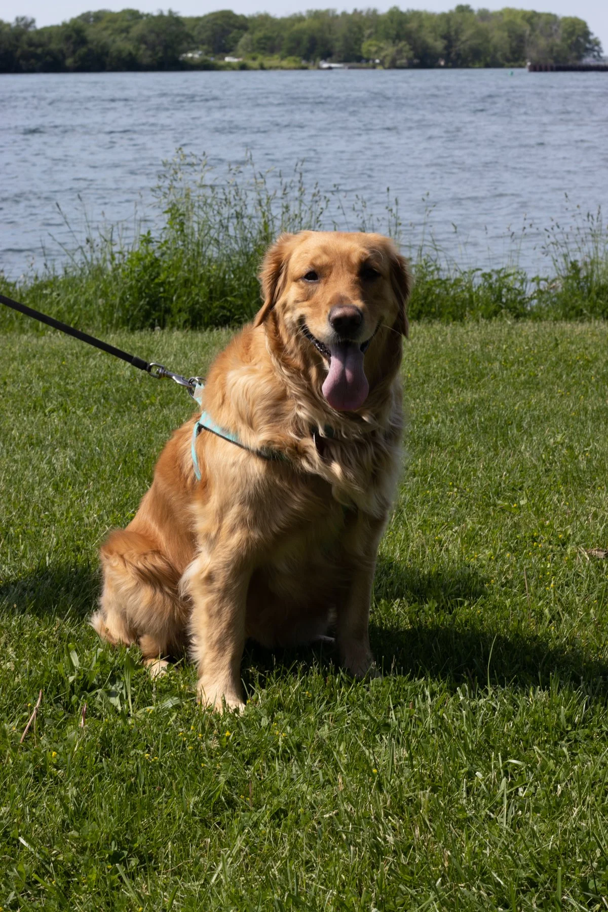 20220529_DRH_summer 22 part 1_226.JPEG