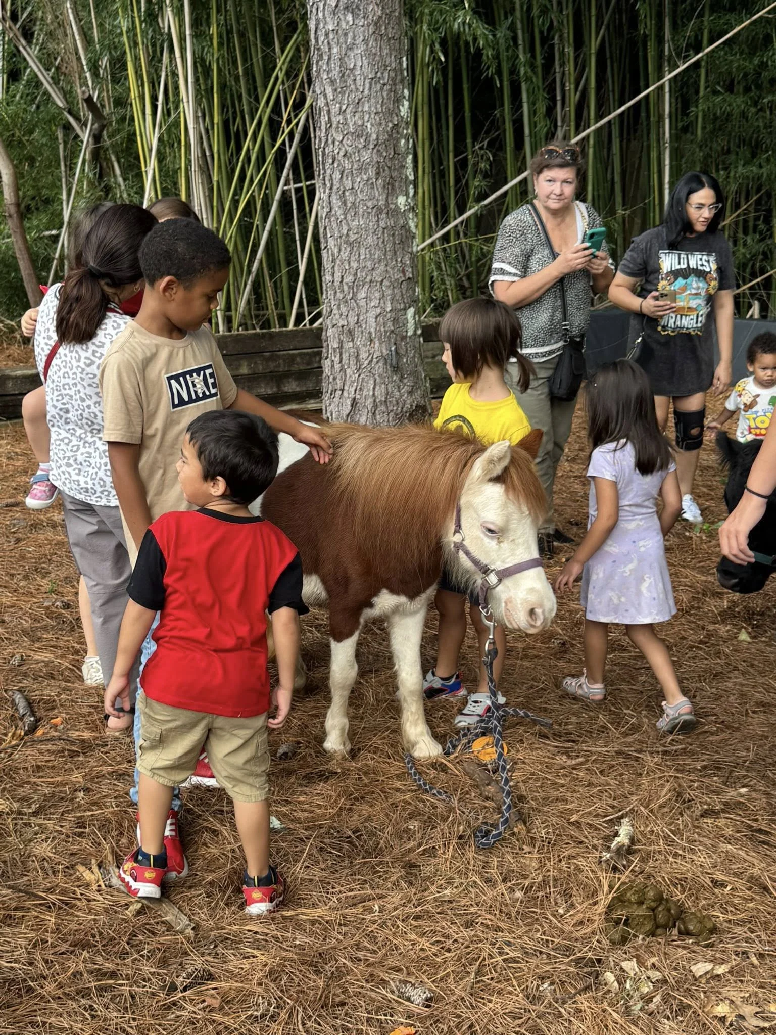 babyhorsekids.jpg