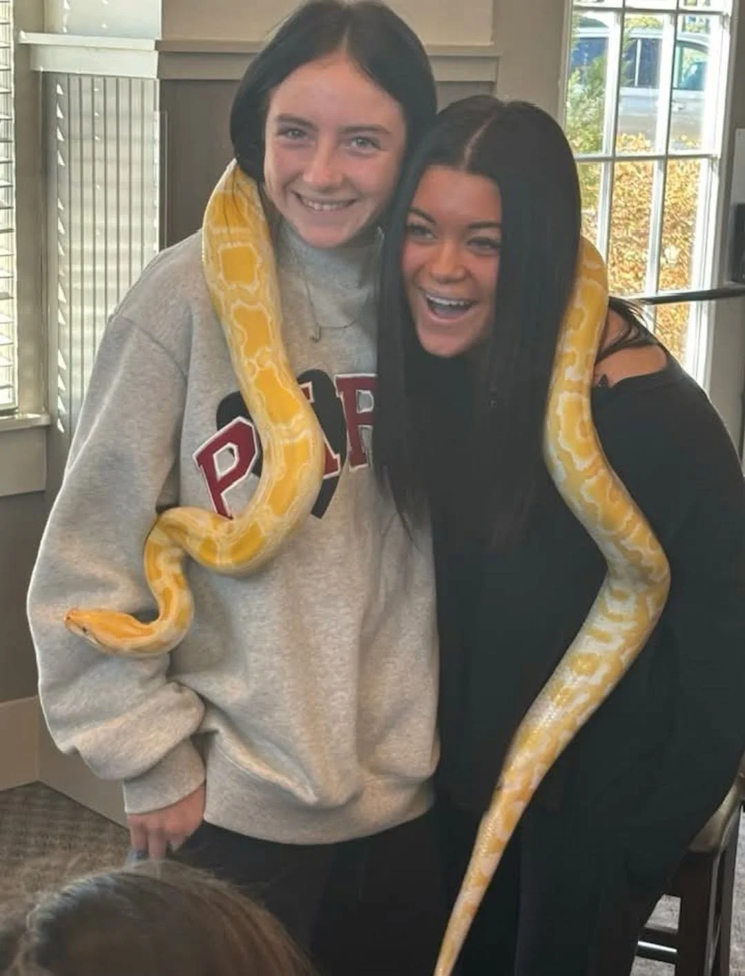 snake2.jpg