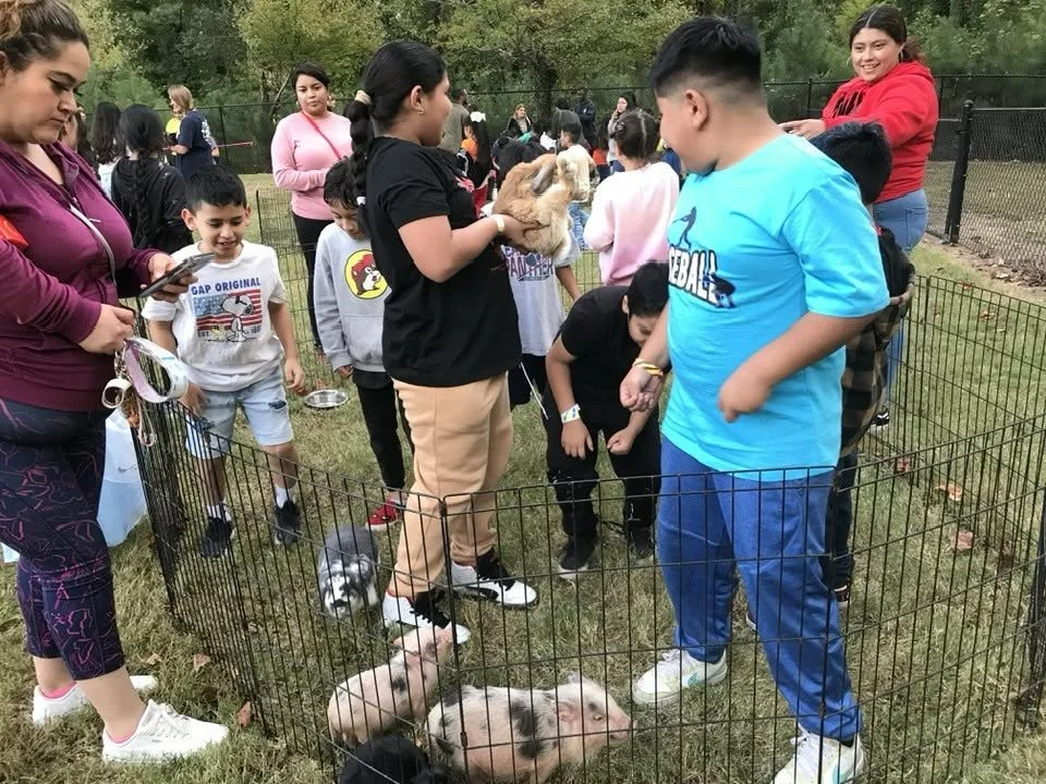 Piga.jpg