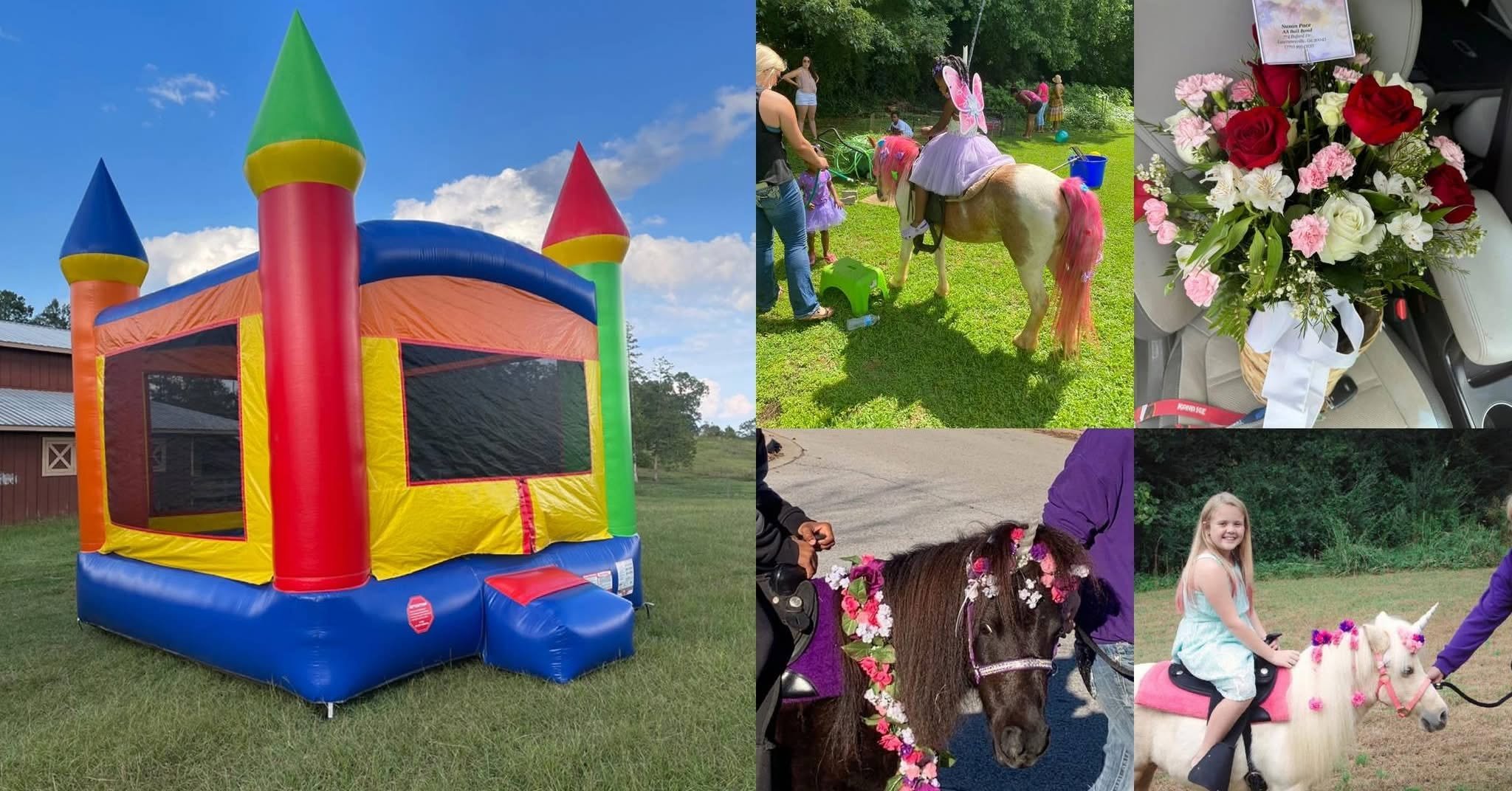 Bouncy_Etc.jpg
