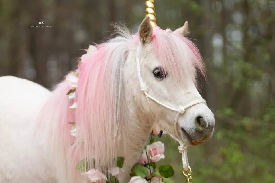 unicorn.jpg