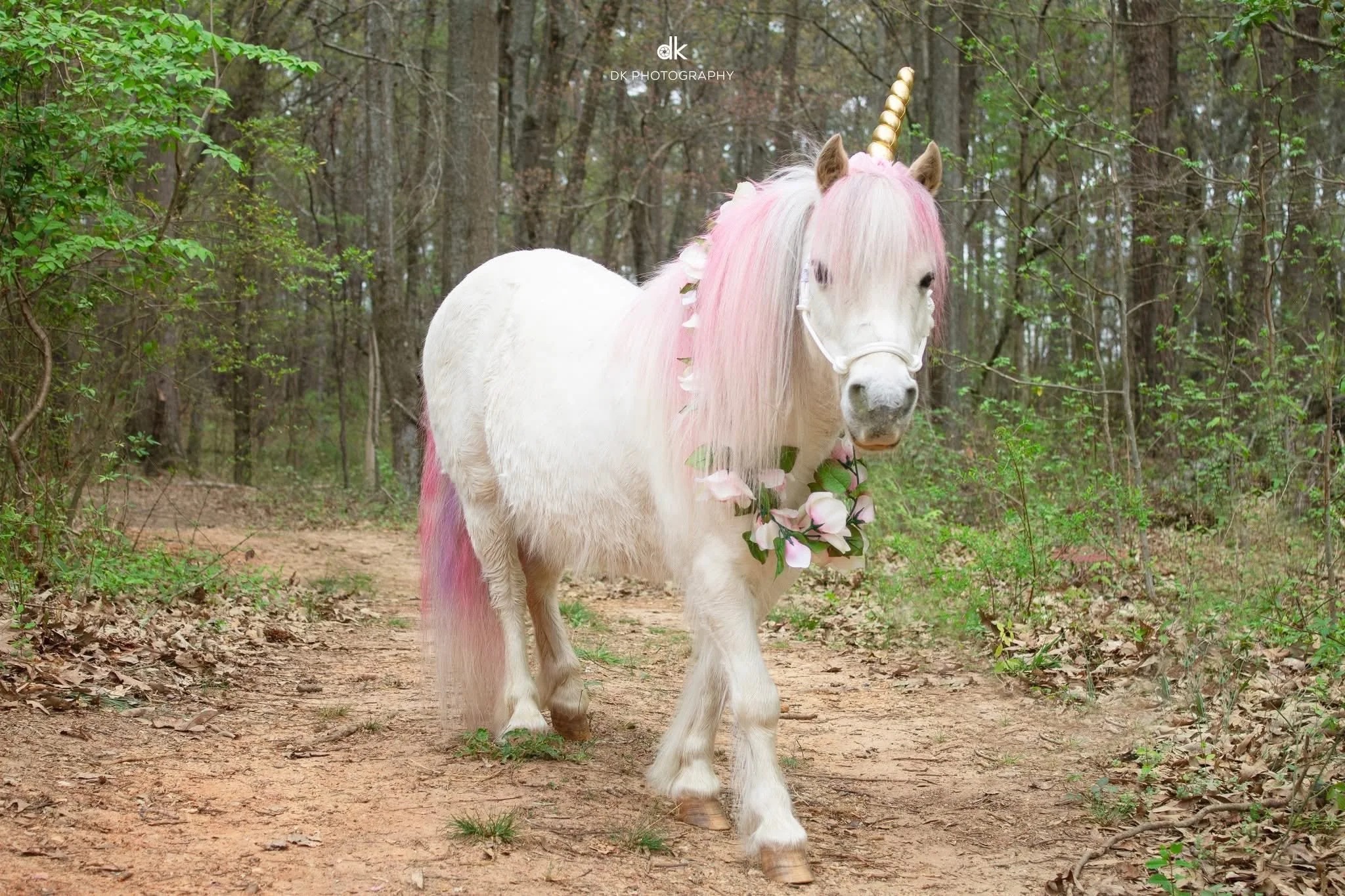 Unicorn2.jpg