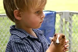 A young boy holding a small puppy outdoors.