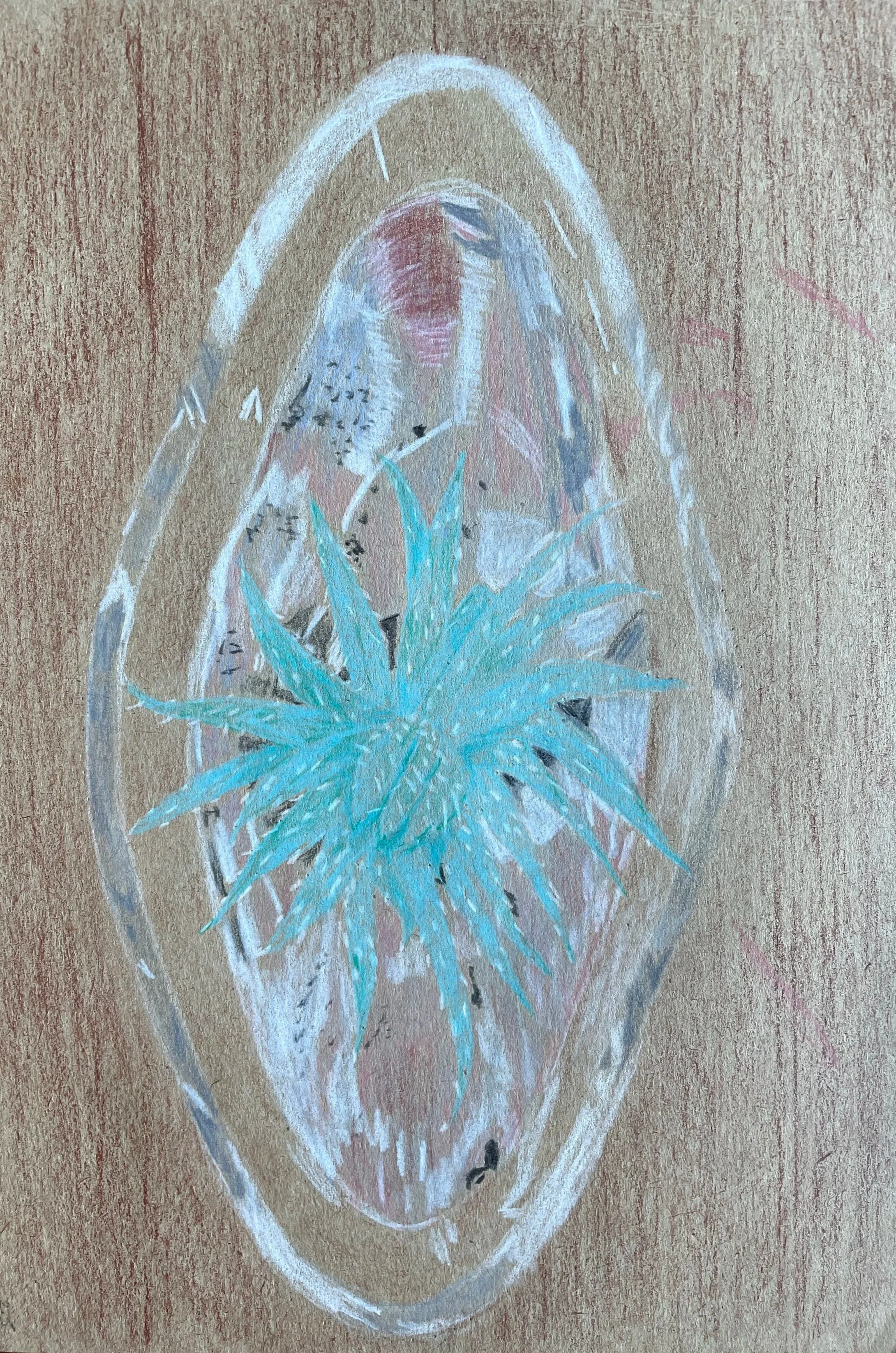 Cactus in glass and water