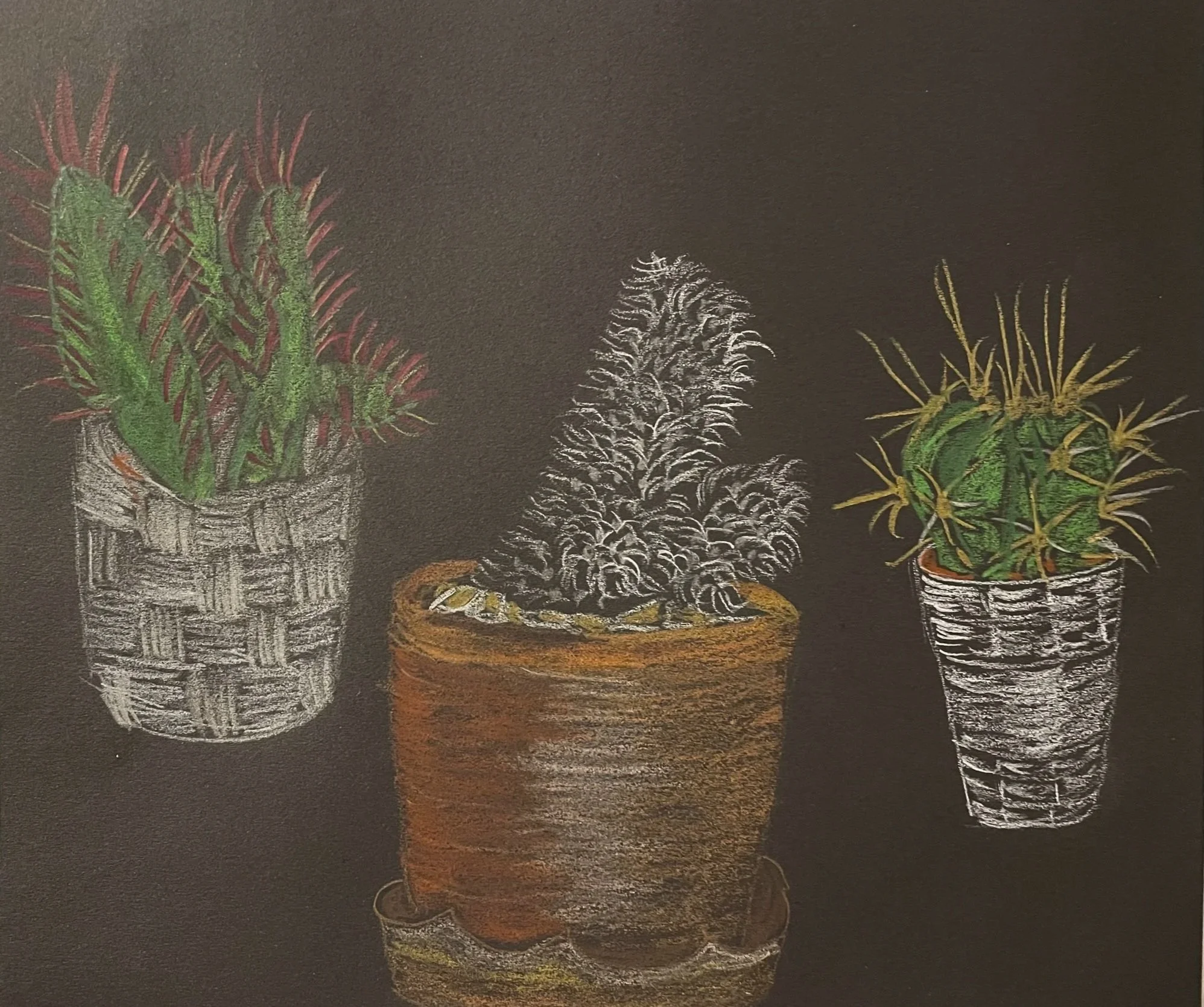 Cacti