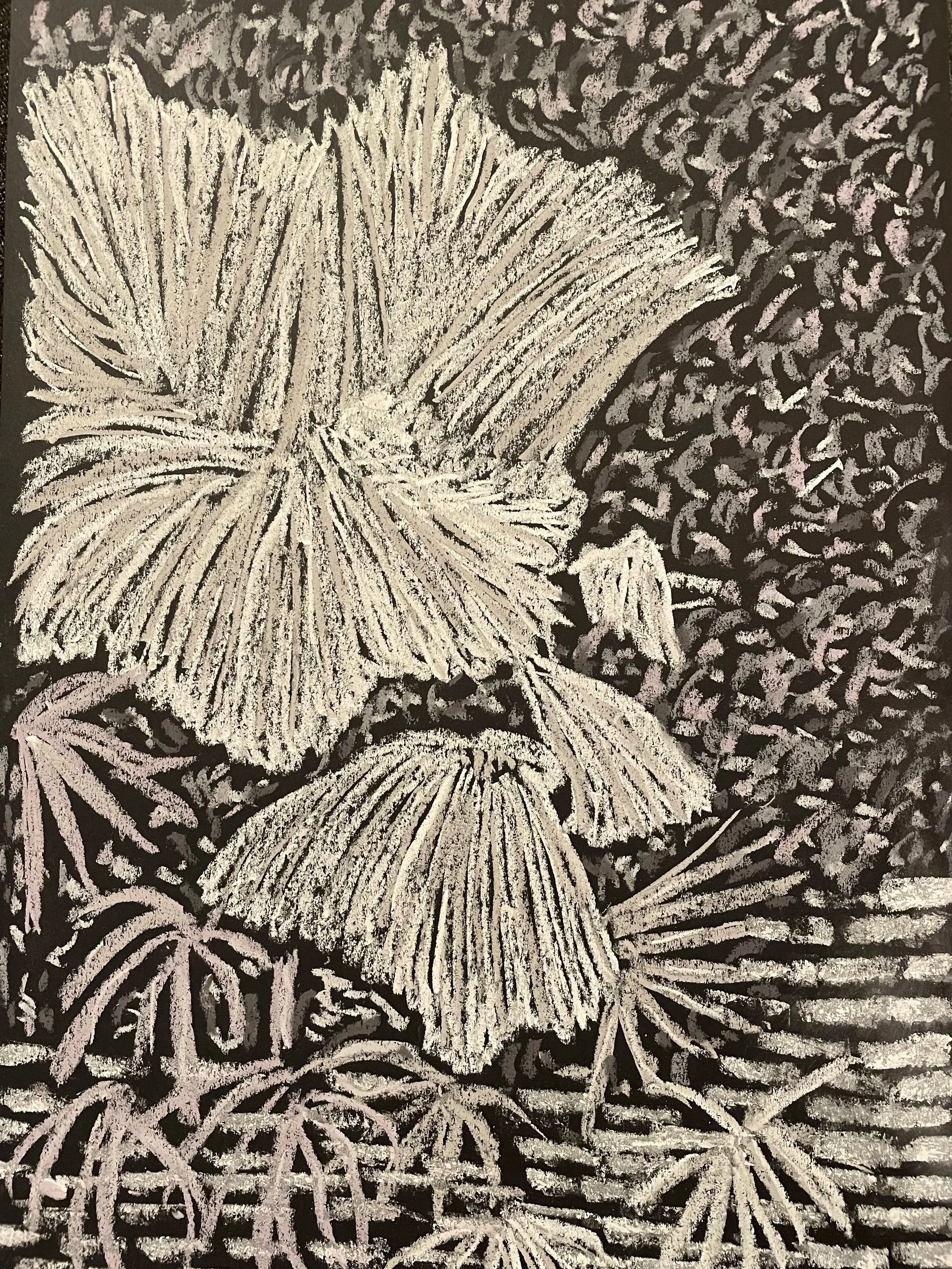 A tropical garden in Miami