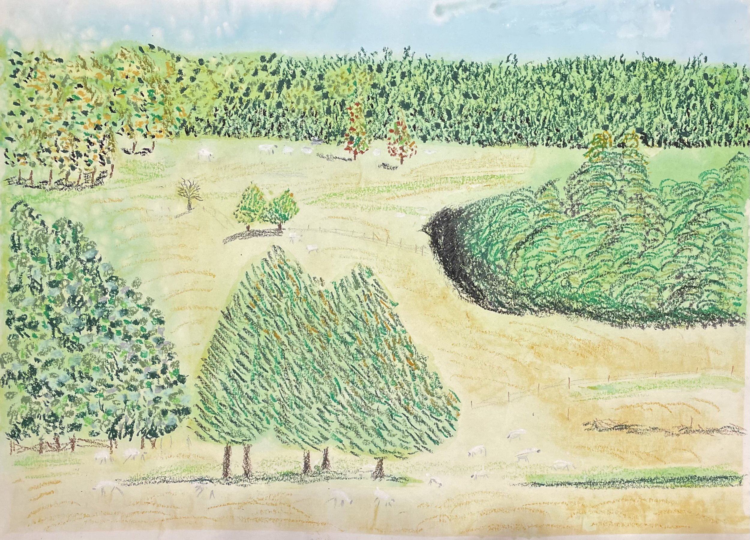 West Dean Landscape