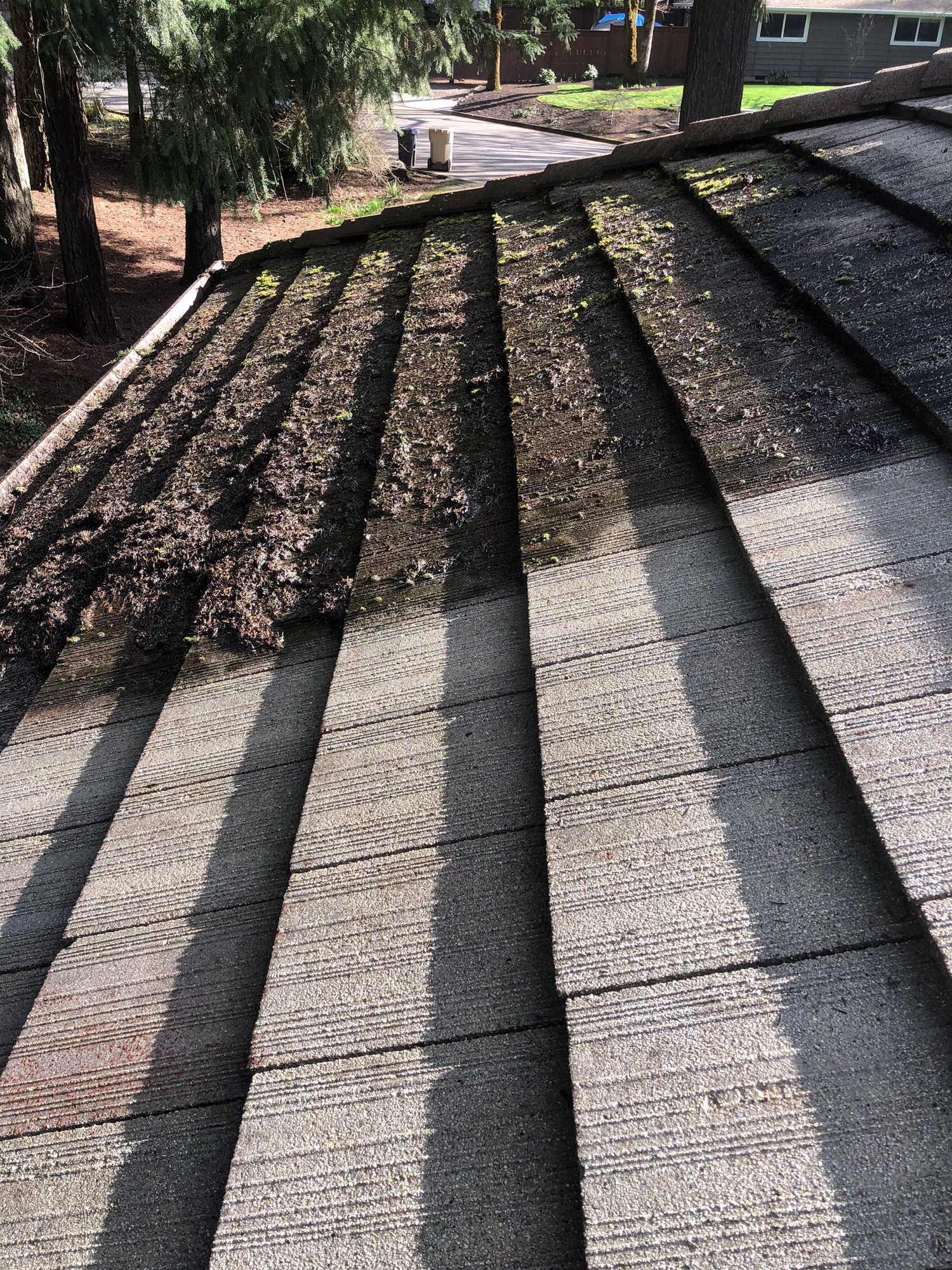 Professional Roof Cleaning in Portland