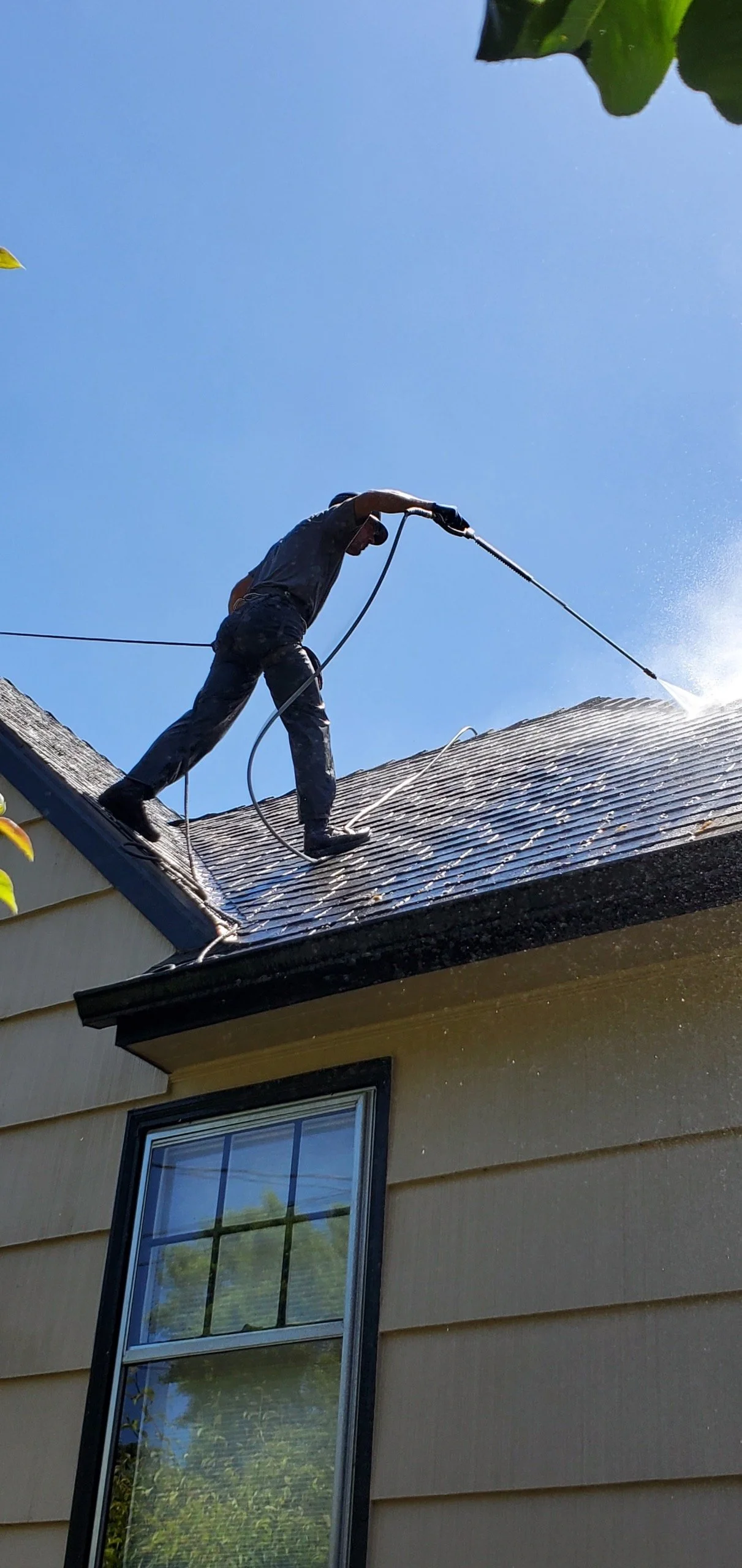 Professional Roof Cleaning in Portland - Powerhouse Northwest