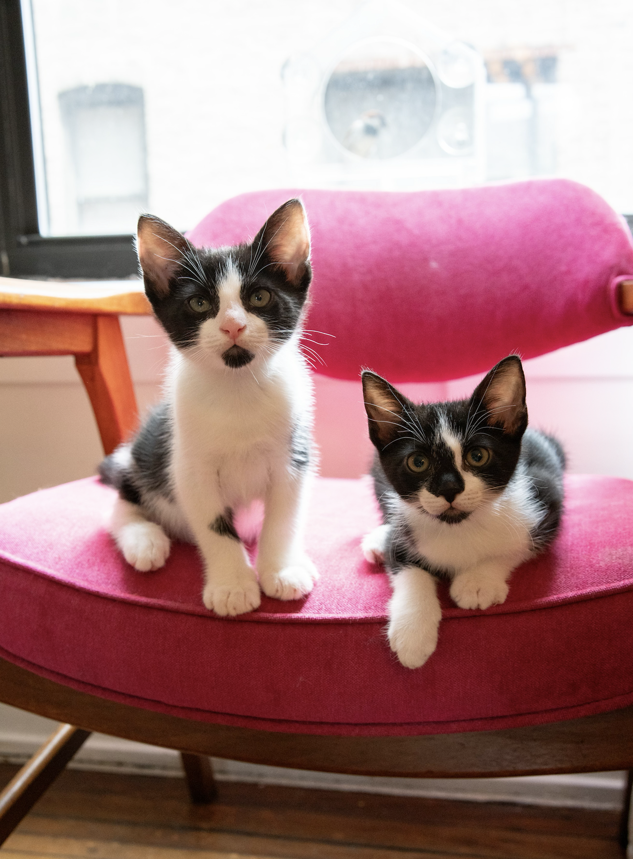 Screen Shot 2023-06-27 at 8.50.34 PM.png