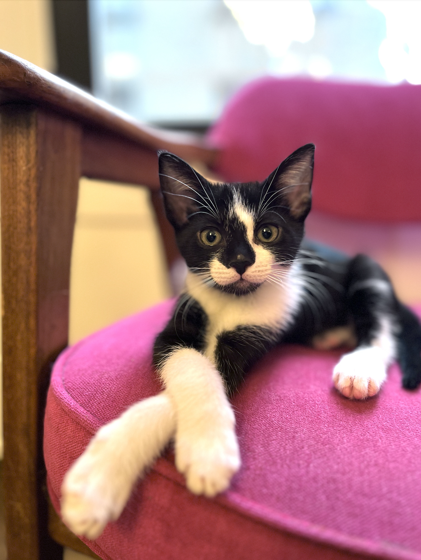 Screen Shot 2023-06-27 at 8.50.56 PM.png