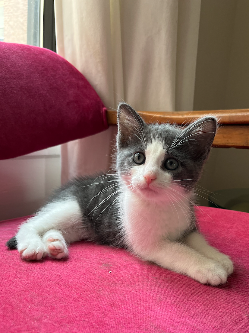 Screen Shot 2024-02-18 at 10.34.00 AM.png